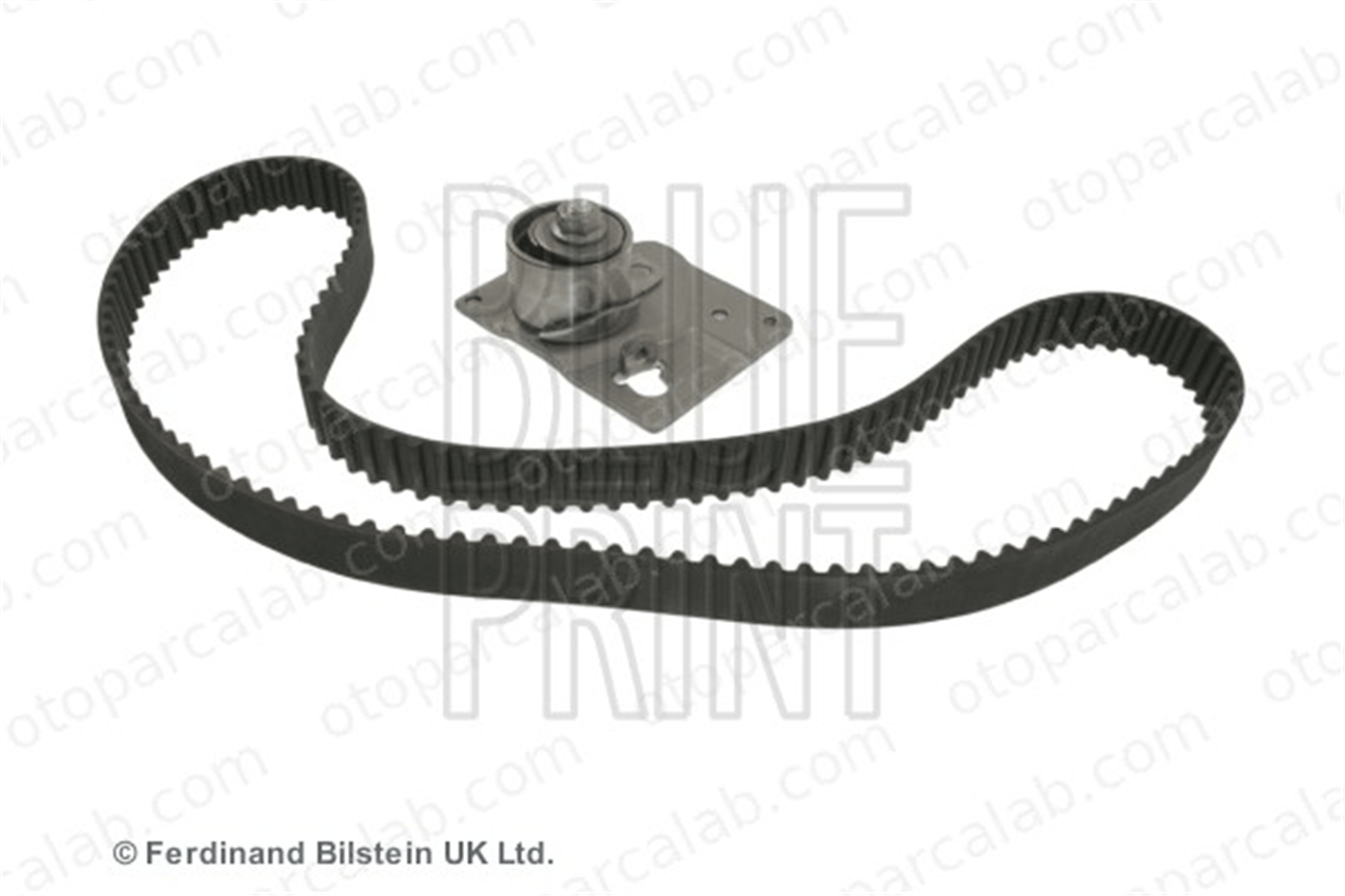 BLUE PRINT ADN17313 Triger Kayış Seti RENAULT LAGUNA II Grandtour MEGANE II 13028AW301 13028AW301S1