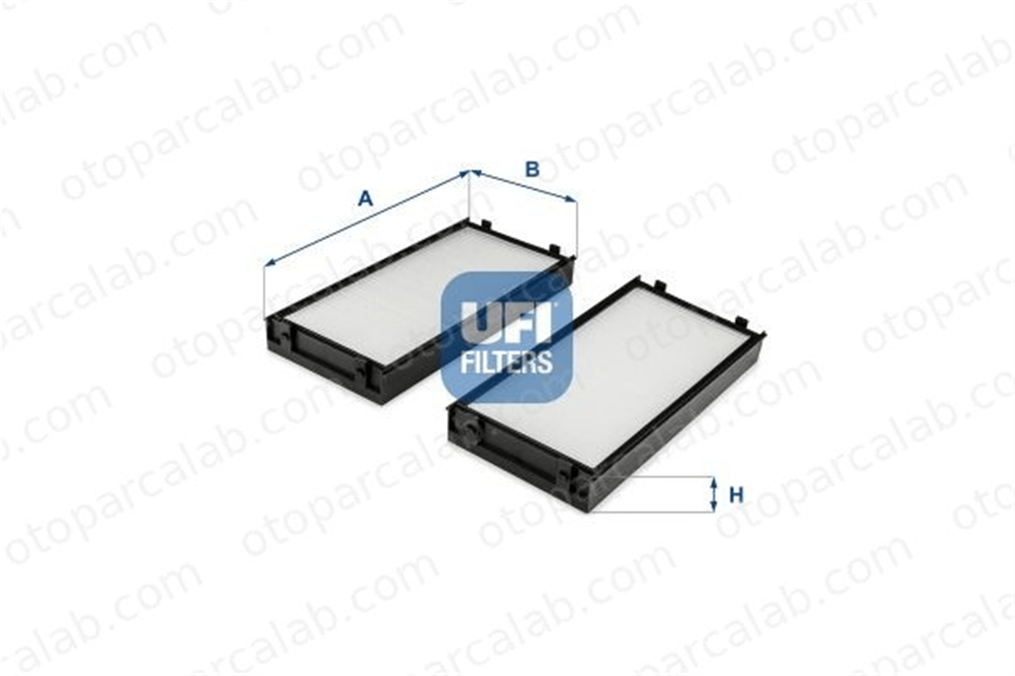 BSG 15-145-022 Polen Filtresi BMW X5 X6 64316945585 64116945593
