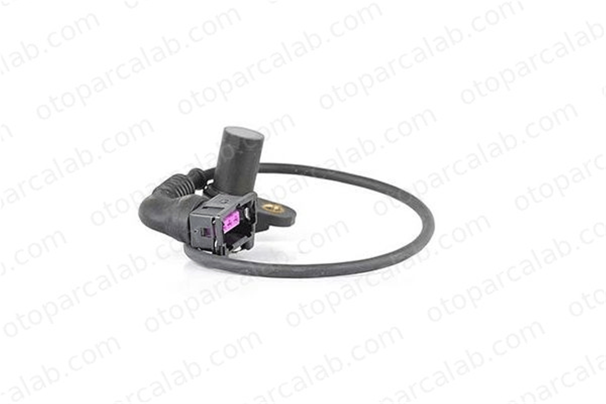 BSG 15-840-017 Eksantrik Devir Sensörü BMW 5 X5 12147539166 12141438083