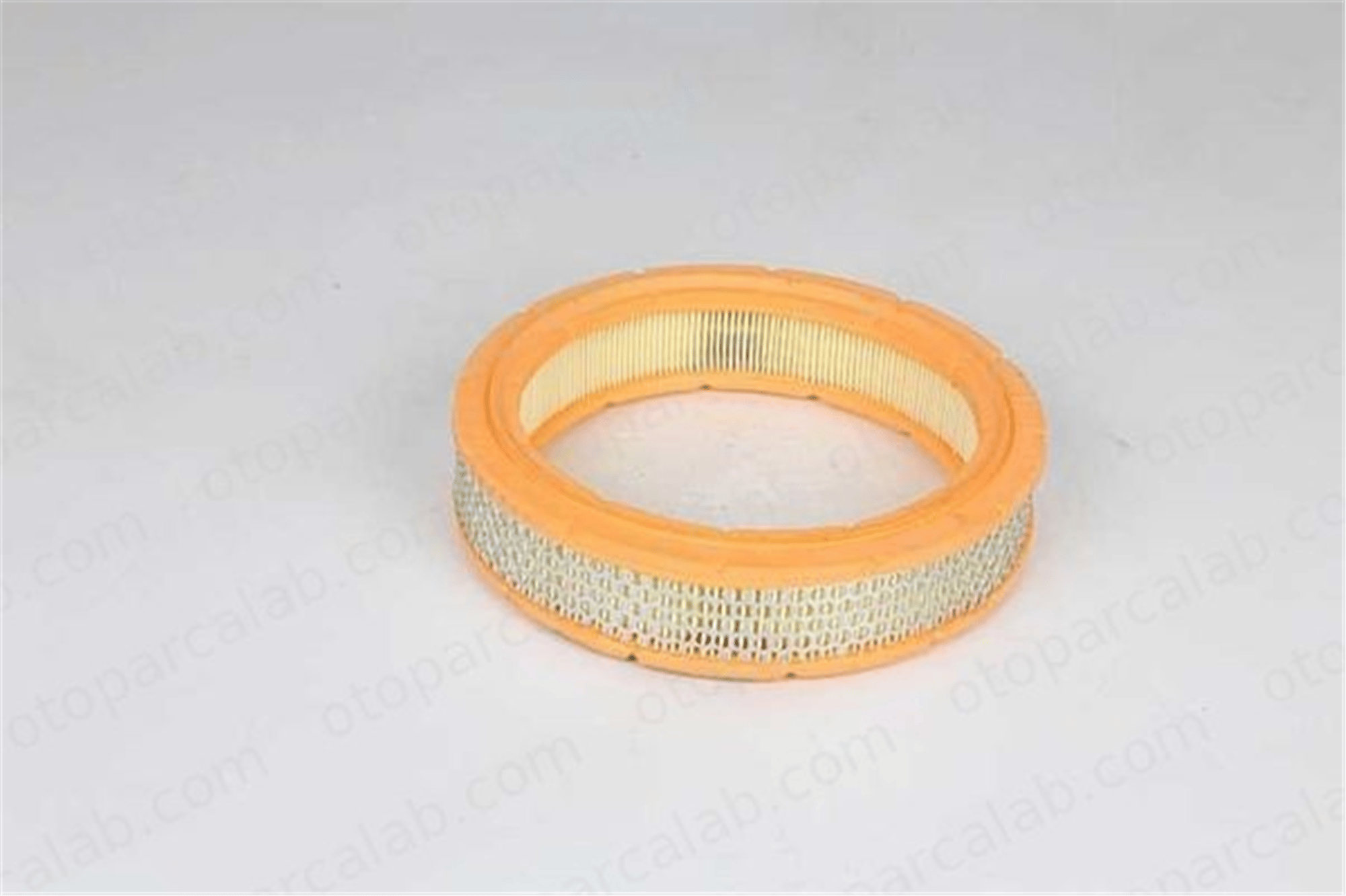 BSG 25-135-012 Hava Filtresi FIAT RITMO 131 7579590 1038700