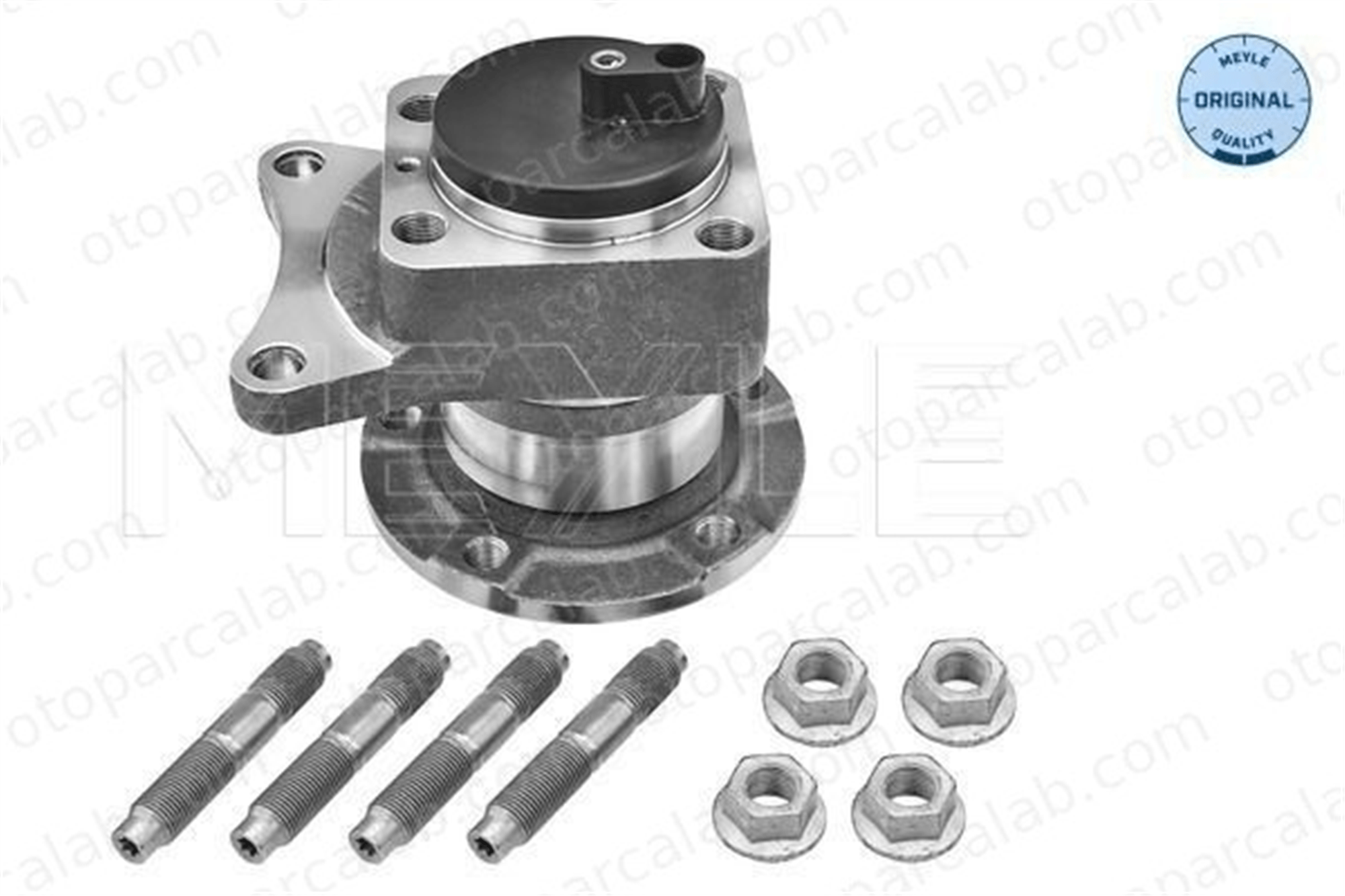BSG 25-600-017 Porya Arka Sağ veya Sol CITROËN JUMPY JUMPY Panelvan/Van 1440088280 374895
