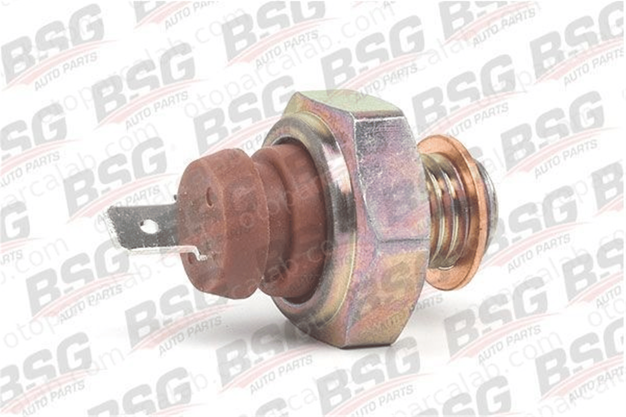 BSG 60-840-001 Yağ Müşürü BMW 5 3 A0045452614 61311351799