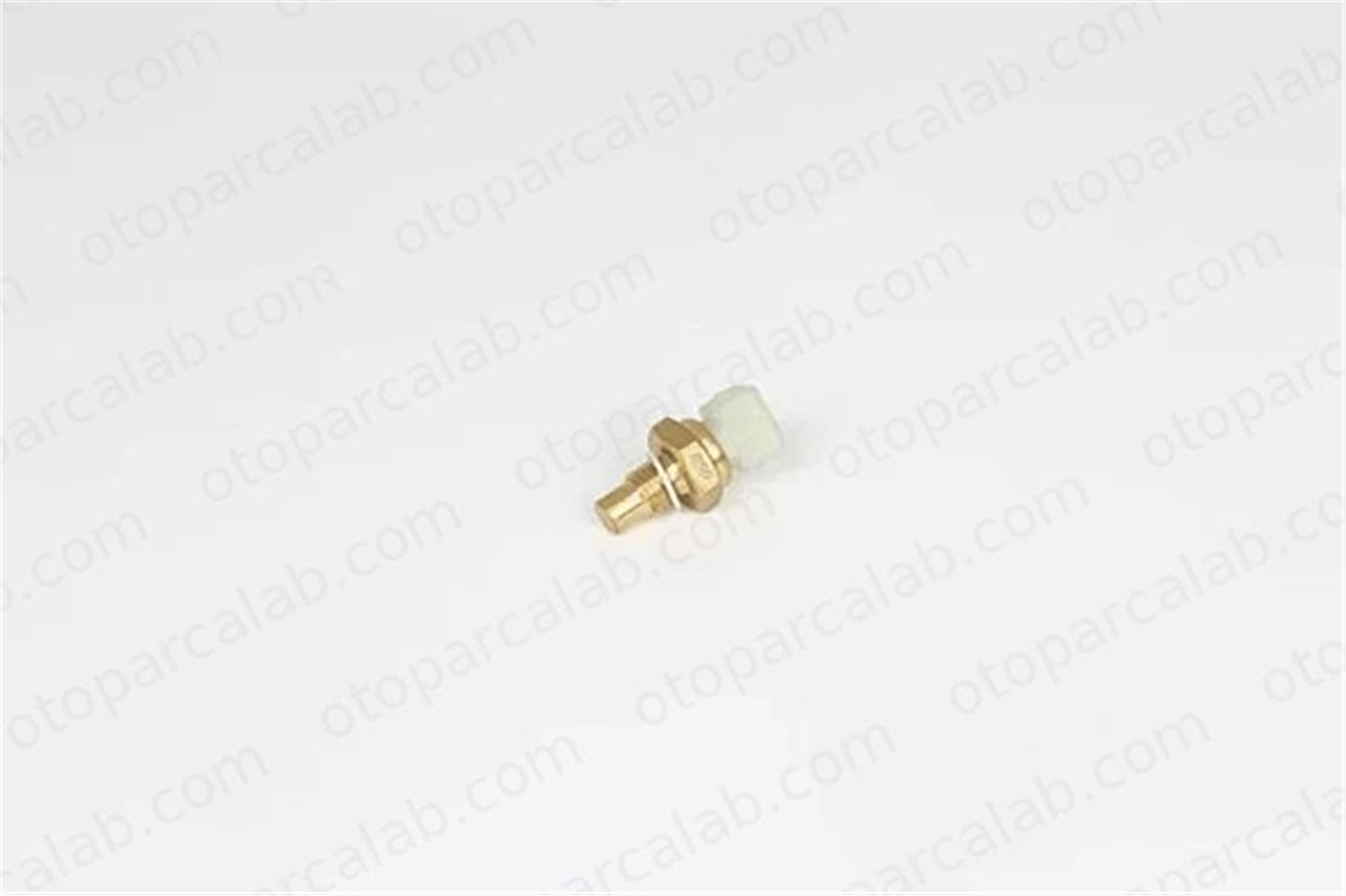 BSG 65-840-037 Hararet Müşürü RENAULT 21 Sedan 25 4401810 9109810