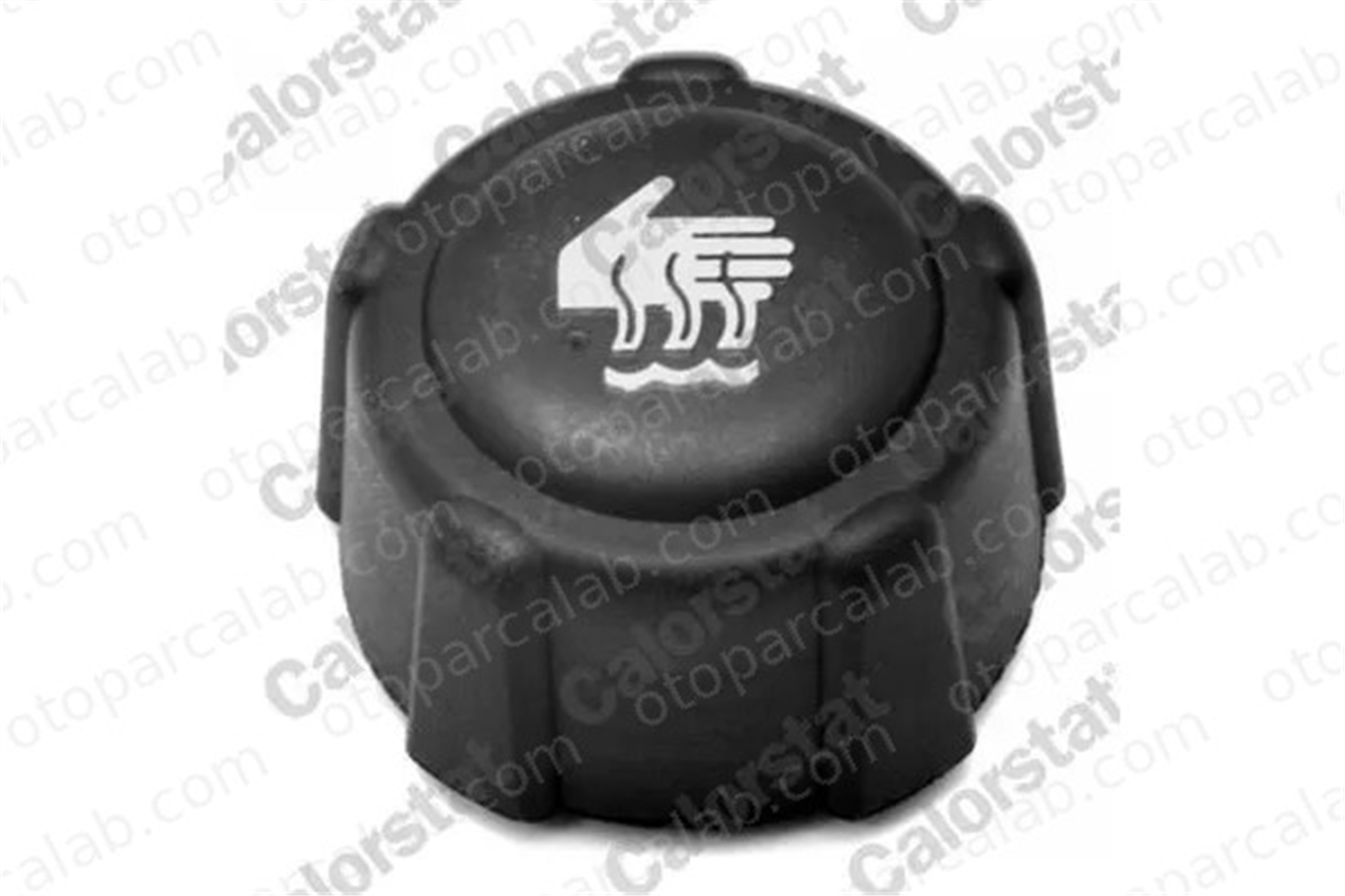 CALORSTAT RC0016 Radyatör Yedek Su Depo Kapağı DACIA DUSTER NISSAN PRIMERA 8200048024 214307990B