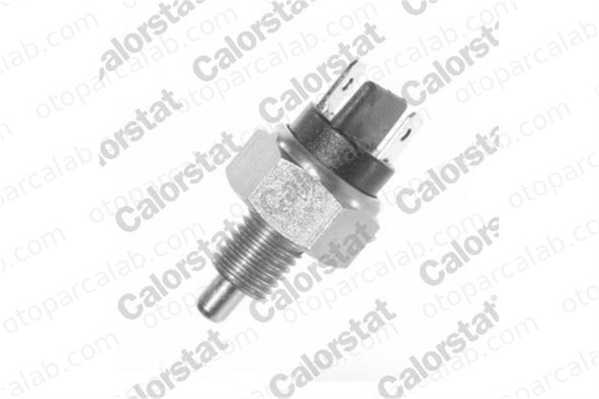 CALORSTAT RS5516 Geri Vites Müşürü BMW 3 5 61311363111 23141209217