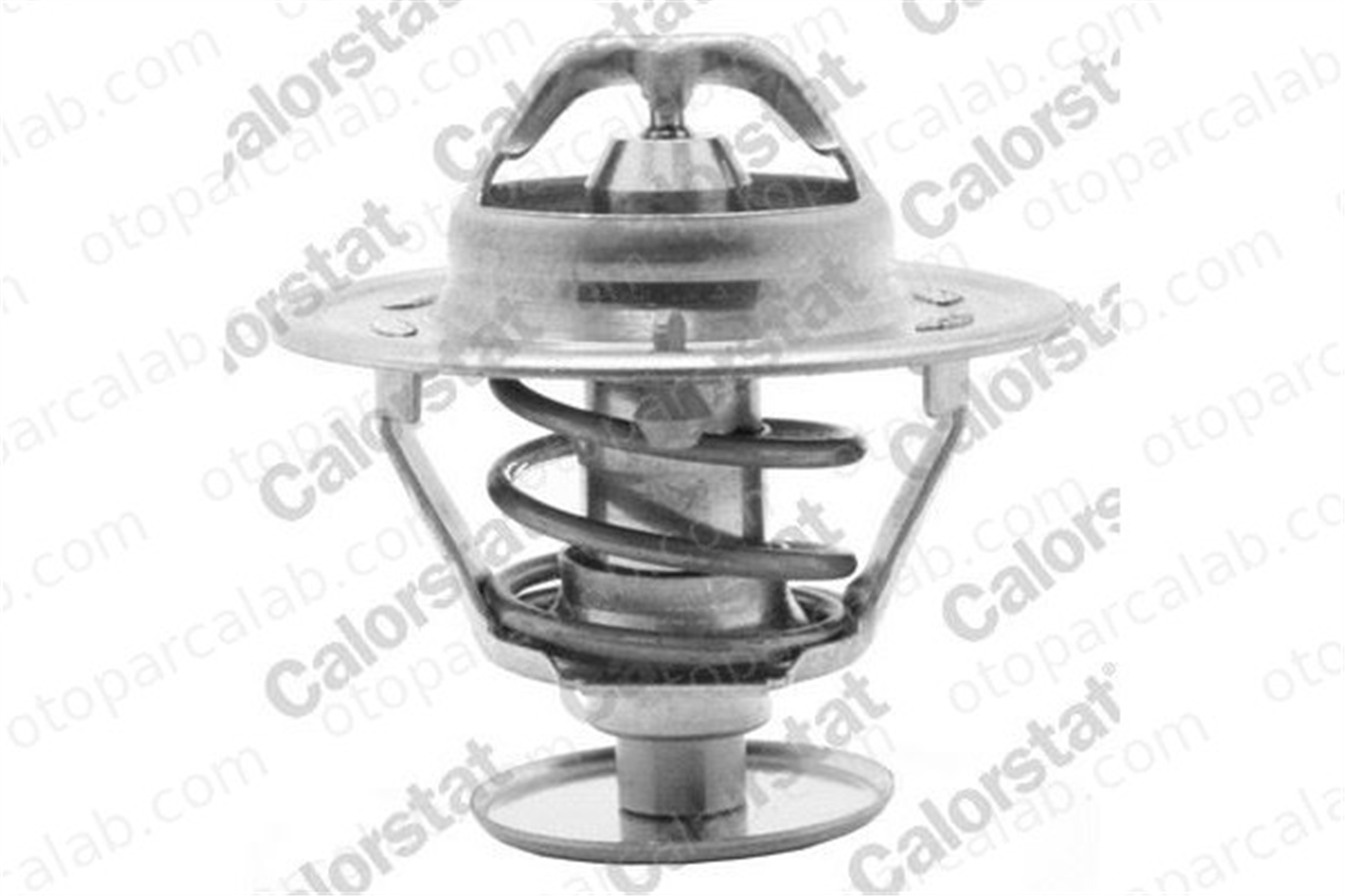 CALORSTAT TH1419.82J Termostat NISSAN PICK UP CABSTAR 6129739 83915171A