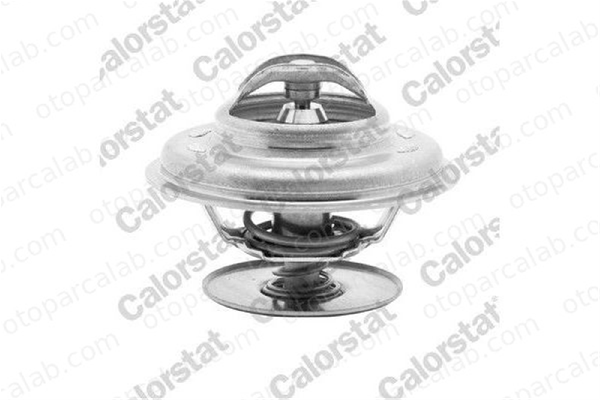 CALORSTAT TH1513.80J Termostat 79 °C MAN F90 MERCEDES-BENZ AROCS A0022034675 11531264668