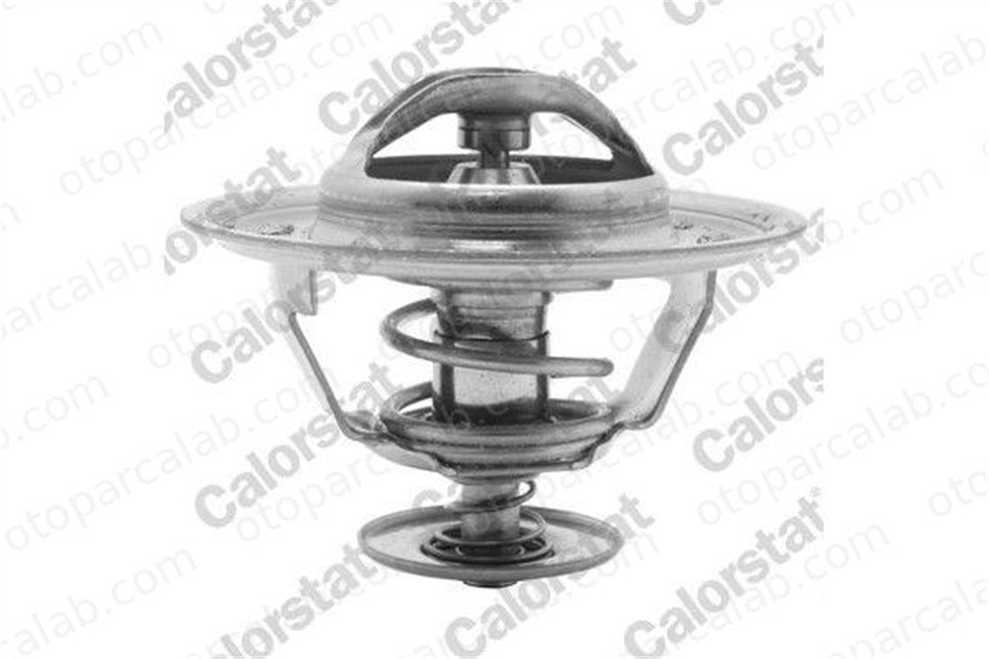 CALORSTAT TH1528.80J Termostat BMW 5 6 11531254065 11531251041