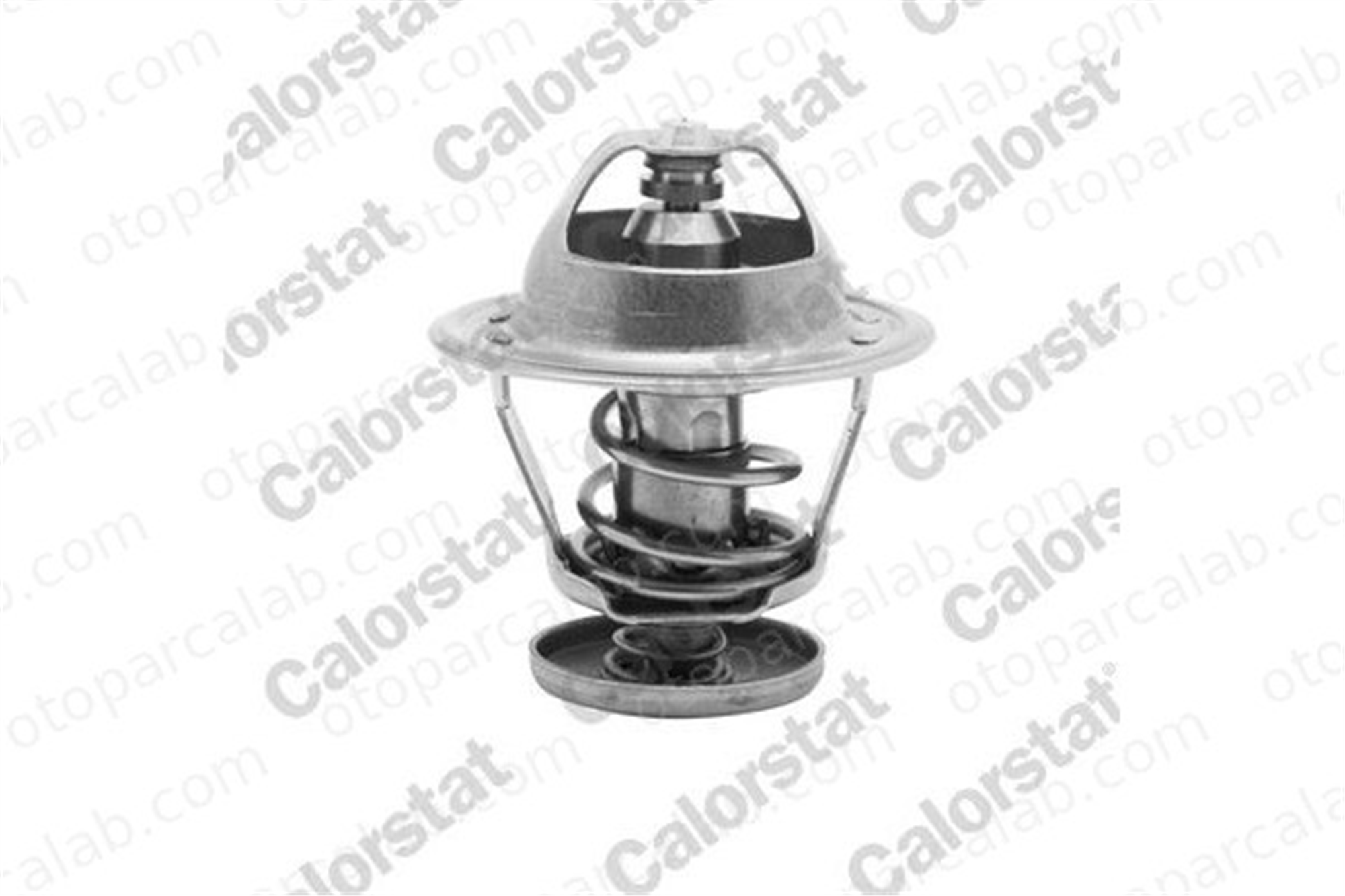 CALORSTAT TH5079.82J Termostat 82 °C NISSAN PRIMERA PRIMERA Hatchback 212009F600 212004M500