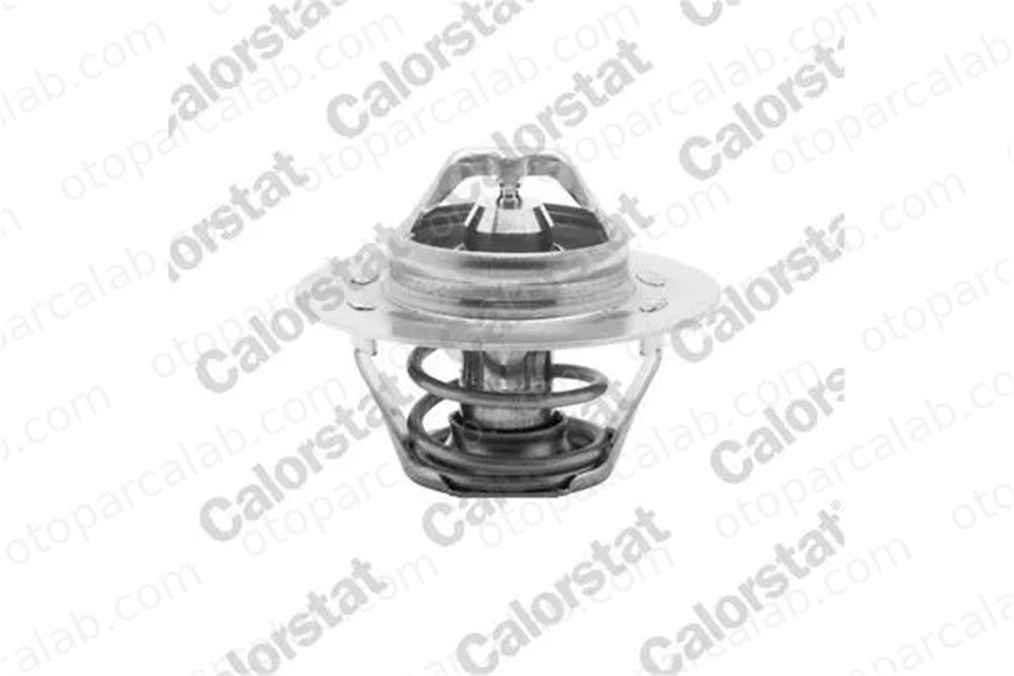 CALORSTAT TH5108.89J Termostat CITROËN AX PEUGEOT 205 II 7701348373 133727