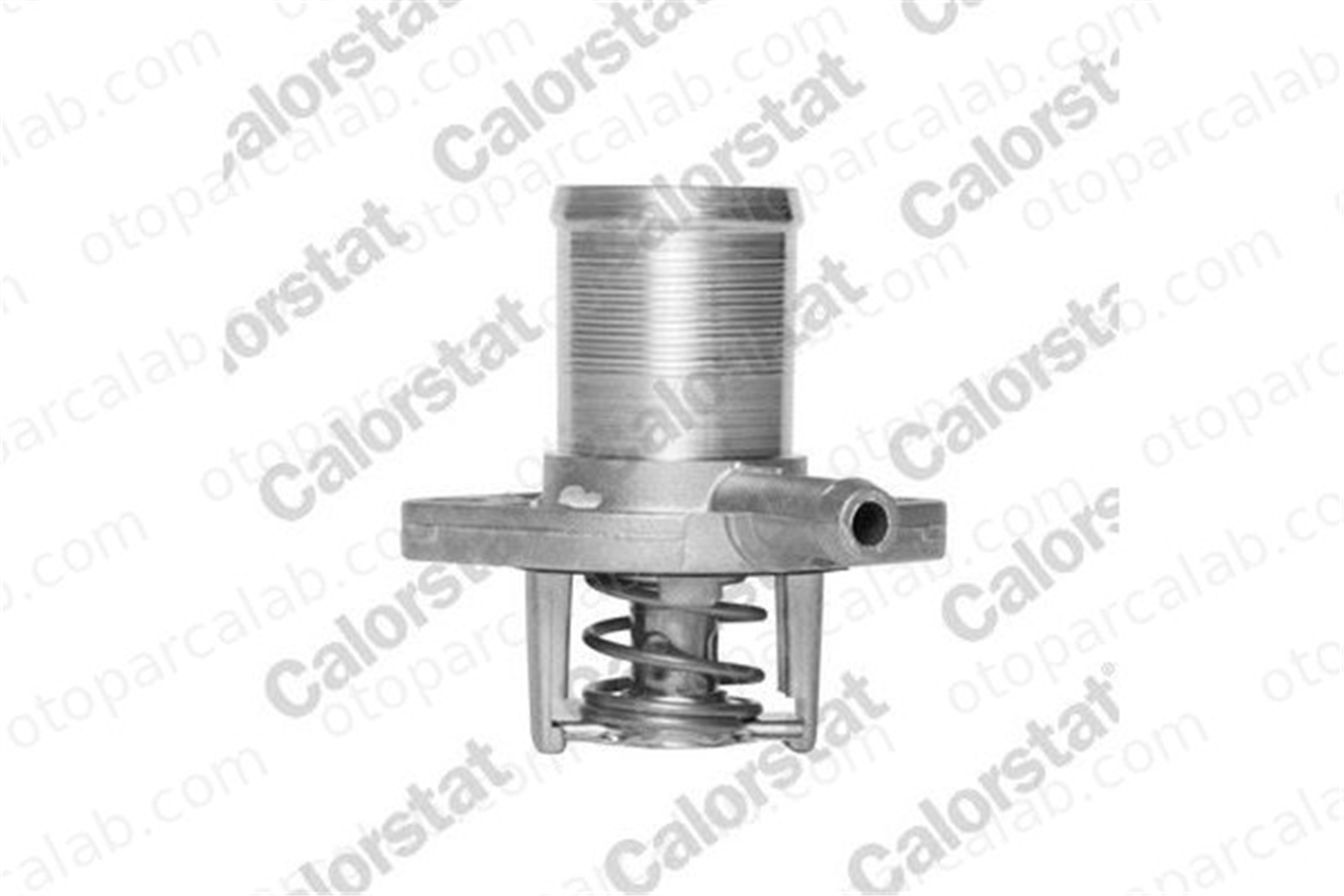 CALORSTAT TH5493.89J Termostat RENAULT CLIO I TWINGO I 7700868980 FKT0116