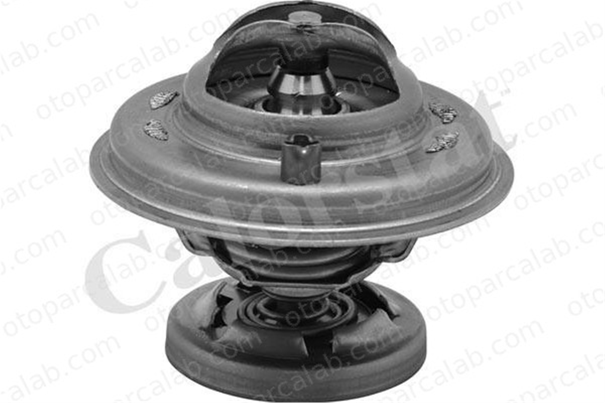 CALORSTAT TH5699.80J Termostat 80 °C MERCEDES-BENZ 124 Sedan 124 T-Model A6022000015 42030975