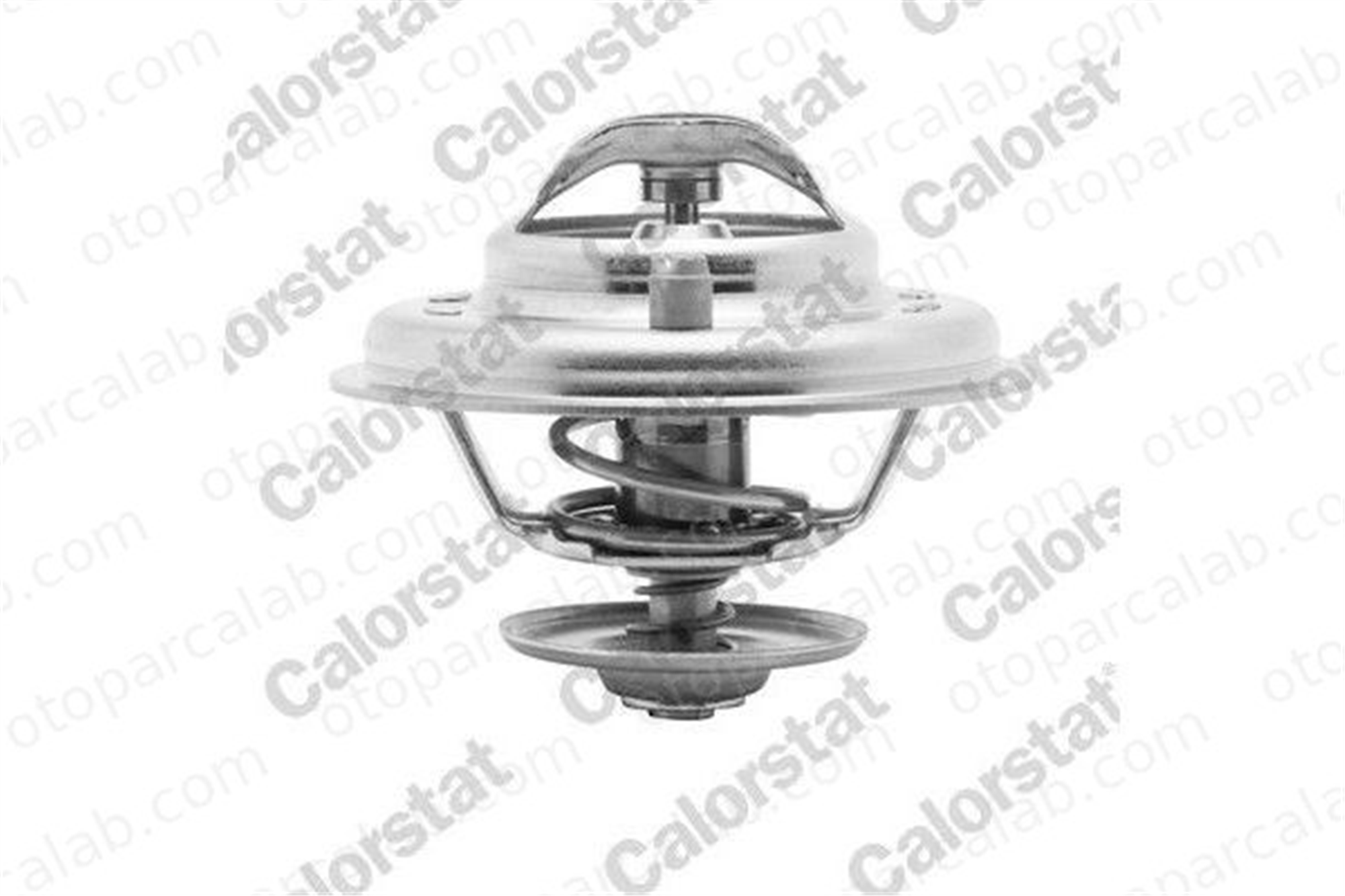 CALORSTAT TH5902.87J Termostat AUDI A6 C5 A6 C5 Avant 77121113 077121113