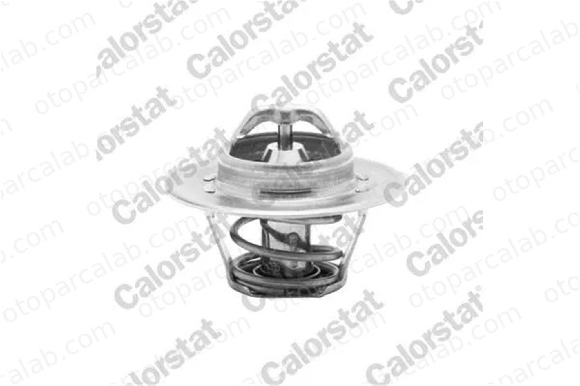 CALORSTAT TH5962.88J Termostat AUDI A3 VW PASSAT B6 3G121113 03G121113