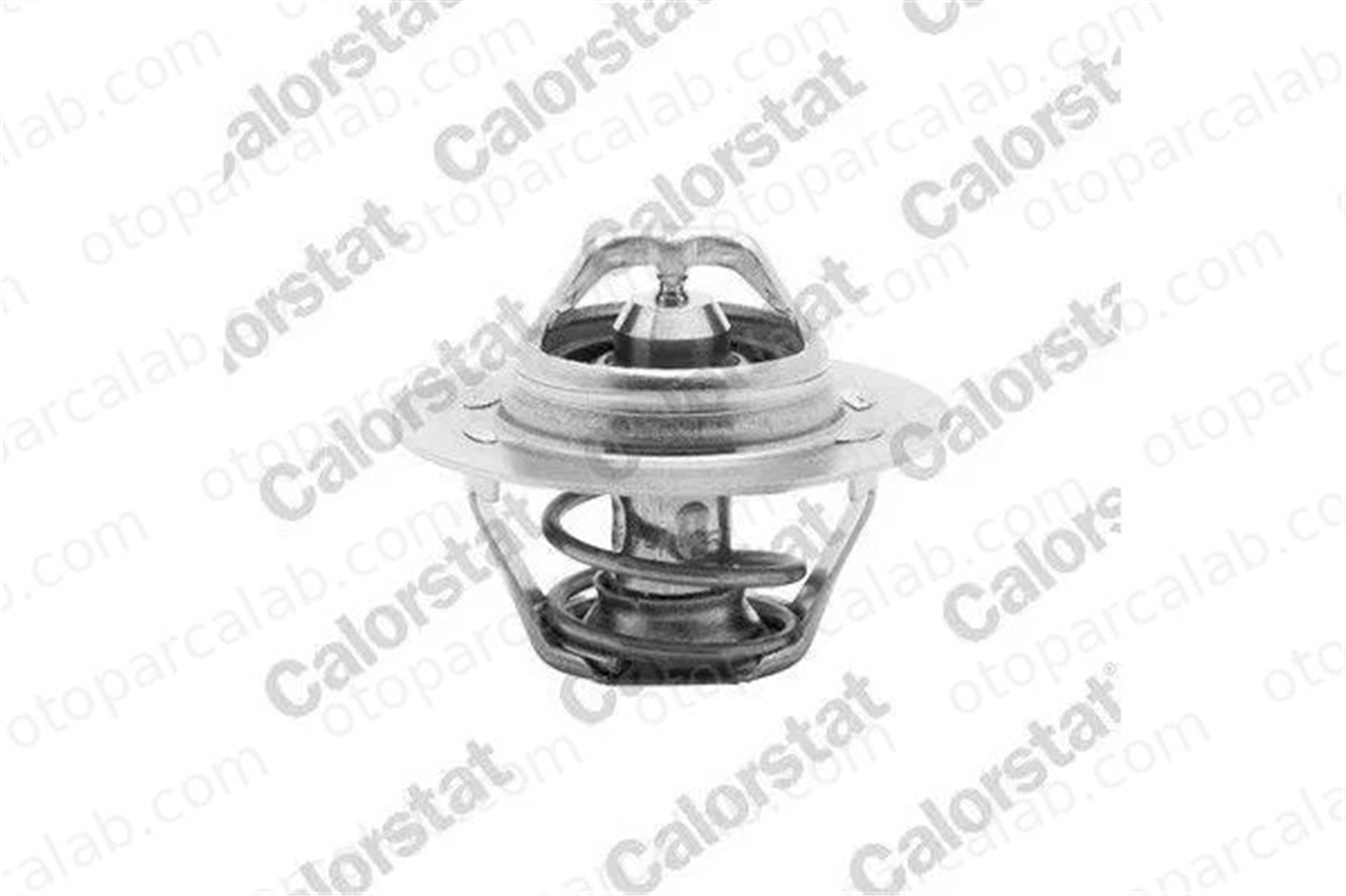 CALORSTAT TH6045.89J Termostat RENAULT 19 II Chamade 19 I 3G121113 03G121113
