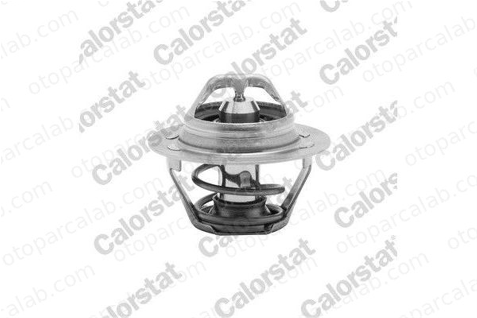 CALORSTAT TH6047.89 Termostat 89 °C RENAULT LAGUNA II Grandtour SCÉNIC I MPV TH604789 FKT0013