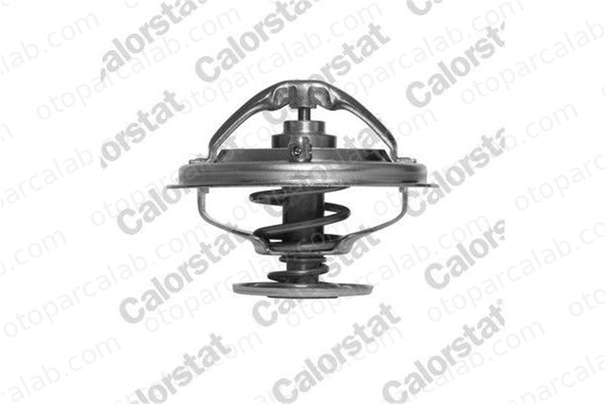 CALORSTAT TH6497.85J Termostat BMW 7 8 11531710056 11531720033