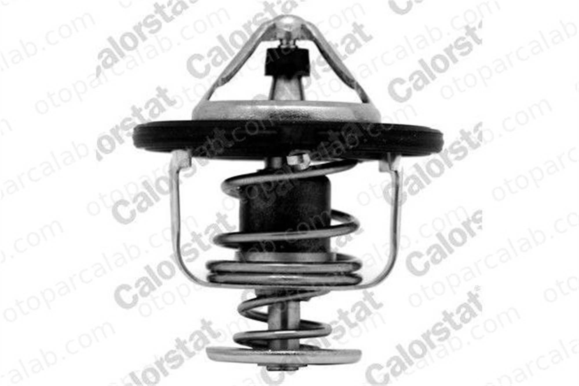 CALORSTAT TH6948.82J Termostat MAZDA RX-8 N3H115171