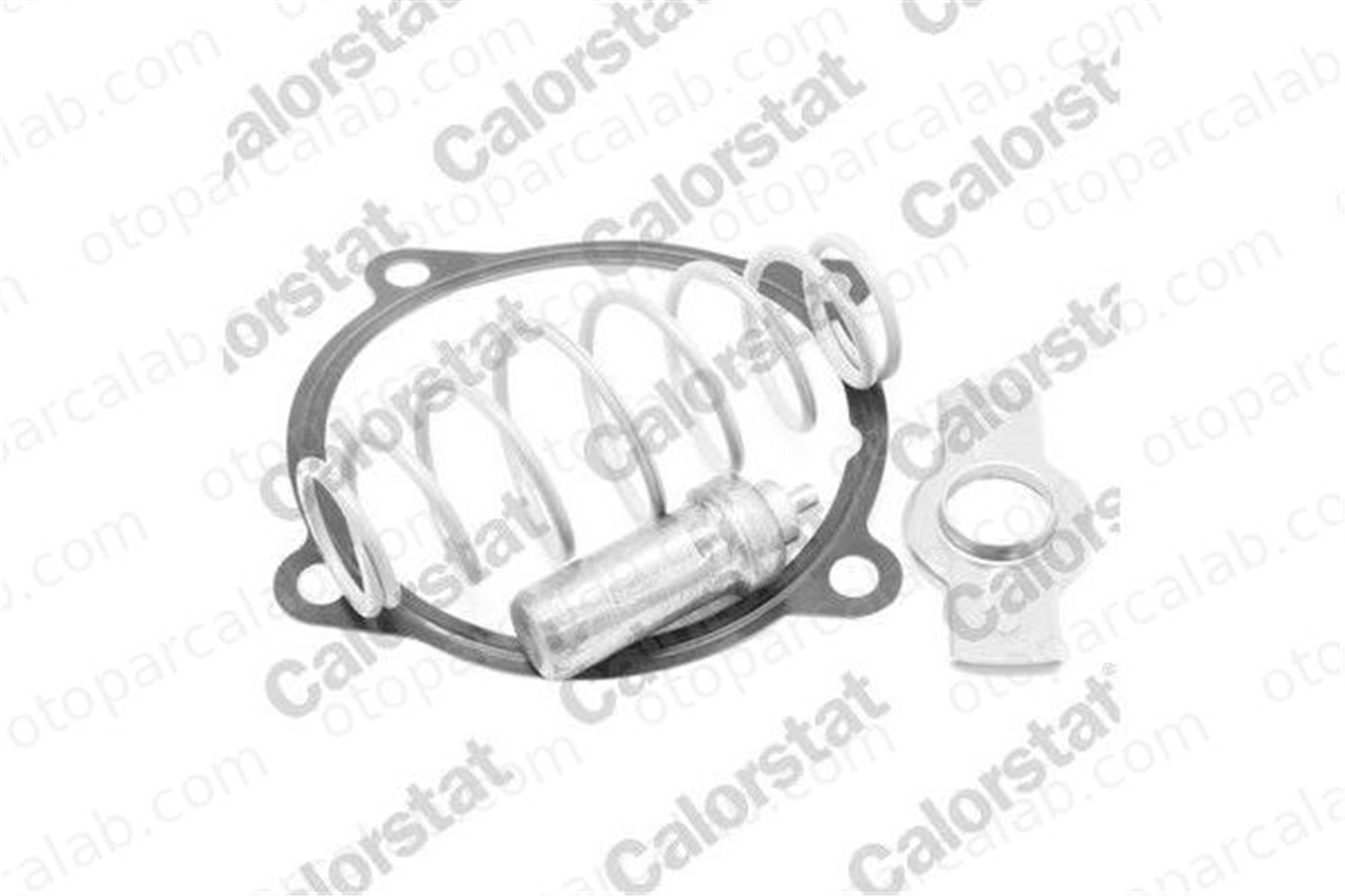 CALORSTAT TH7313.79J Termostat 79 °C IVECO STRALIS II EUROCARGO V 504071087