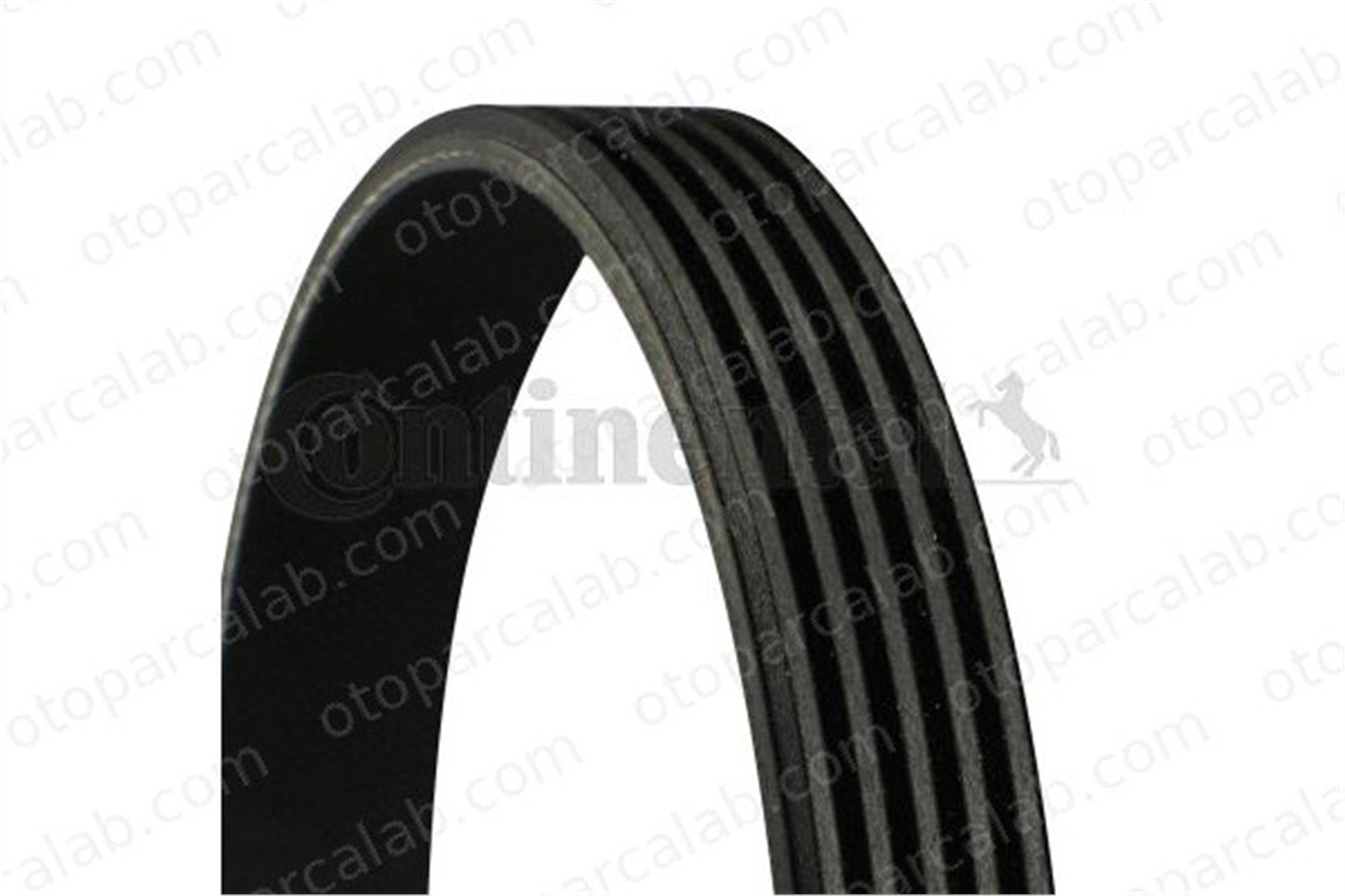 CONTINENTAL 5PK1165 Vantilatör Kayışı RENAULT 9 ROVER 200 II Hatchback 79903137S 079903137S