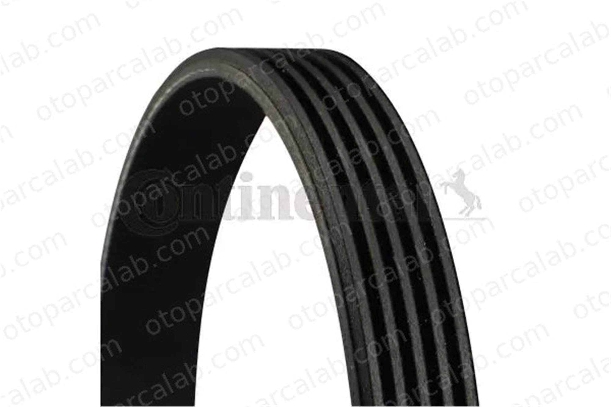 CONTINENTAL 5PK970 Vantilatör Kayışı AUDI R8 TOYOTA COROLLA 5PK970 7L903137T