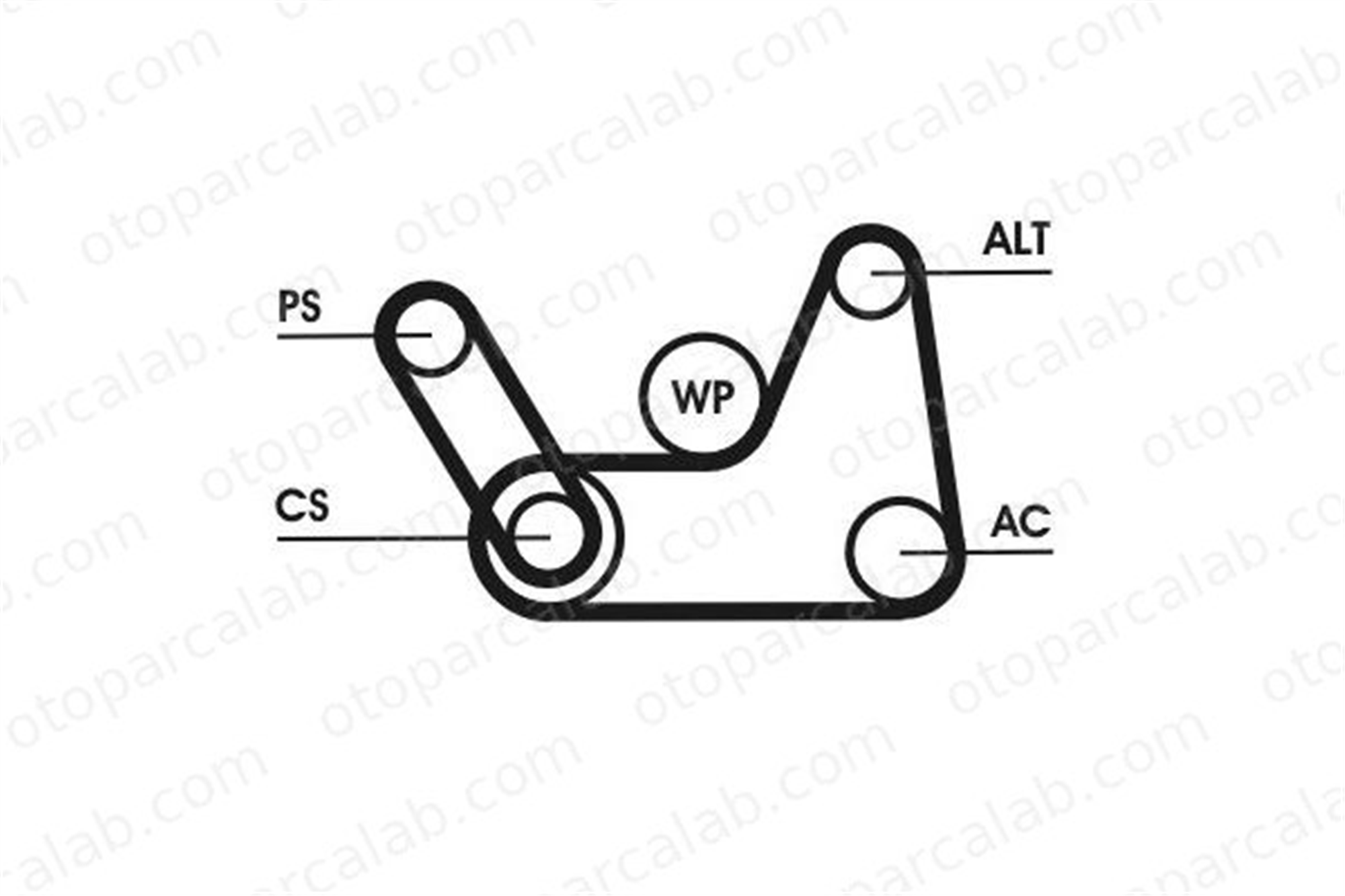 CONTINENTAL 6PK1019 ELAST T1 Vantilatör Kayış Seti FORD FIESTA V FUSION 8V2Q6D314AB 1143407
