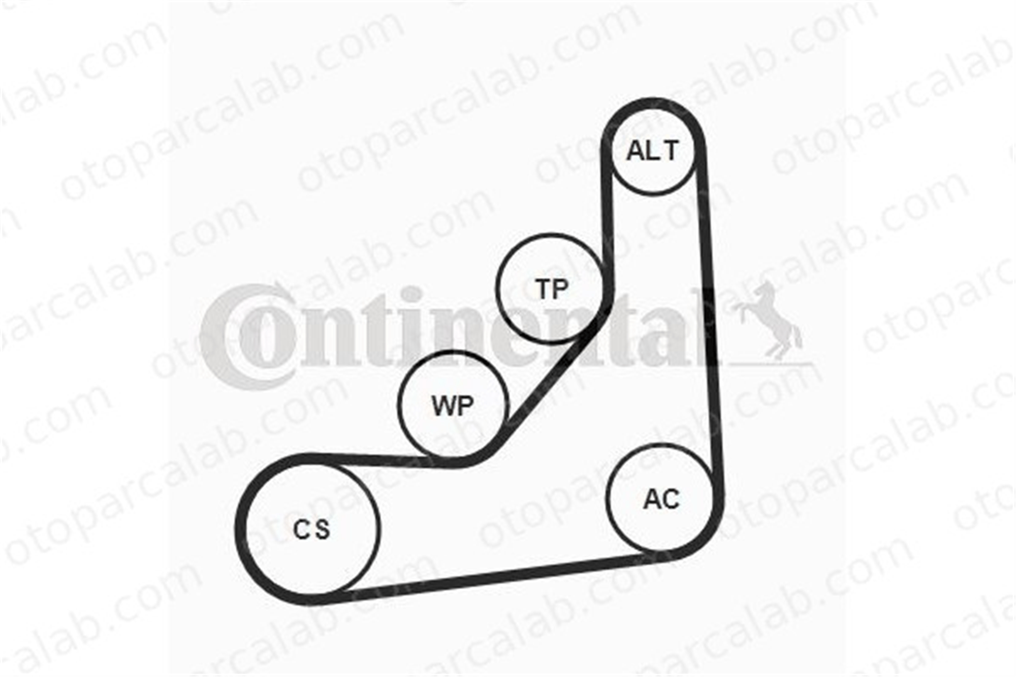 CONTINENTAL 6PK1165K1 Vantilatör Kayış Seti BMW 1 4 Gran Coupe 11288580360 11288646472