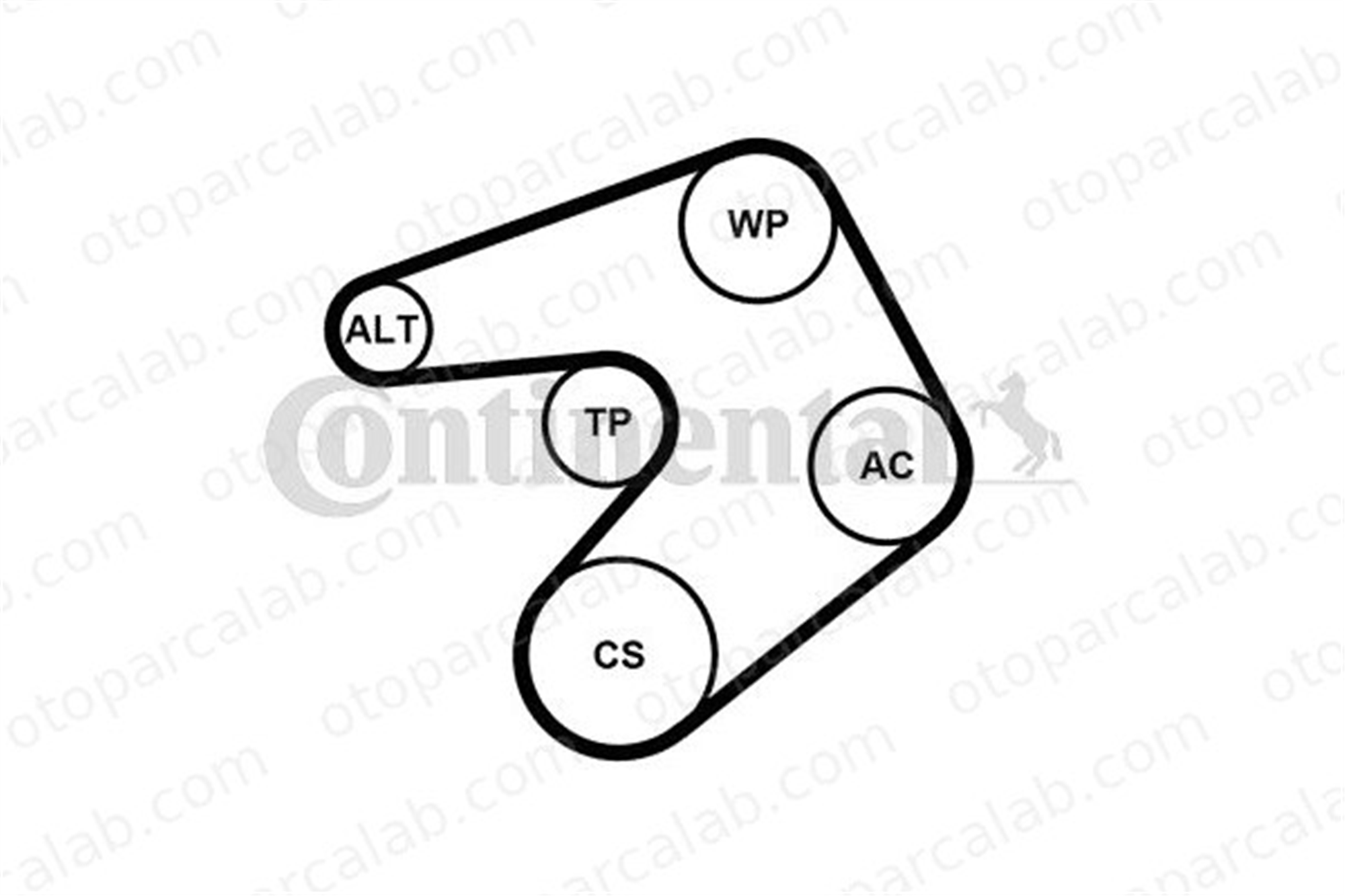 CONTINENTAL 6PK1244K1 Vantilatör Kayış Seti CITROËN JUMPY JUMPY Panelvan/Van 1611278380 1611524780