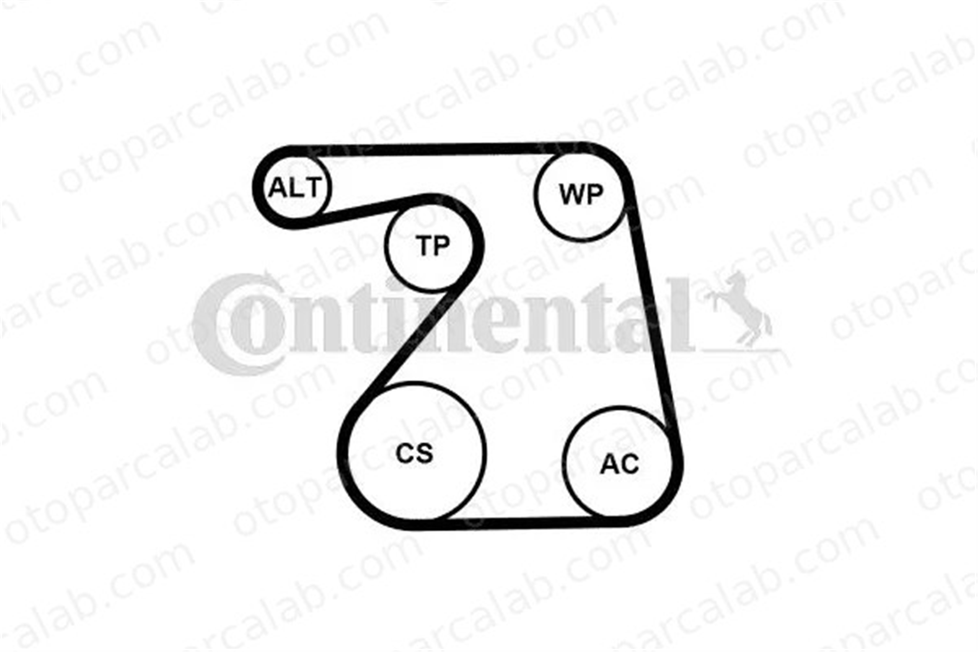 CONTINENTAL 6PK1360WP1 Vantilatör Kayış Seti OPEL CORSA D CORSA D Kasa/eğik arka 1334207 1334647