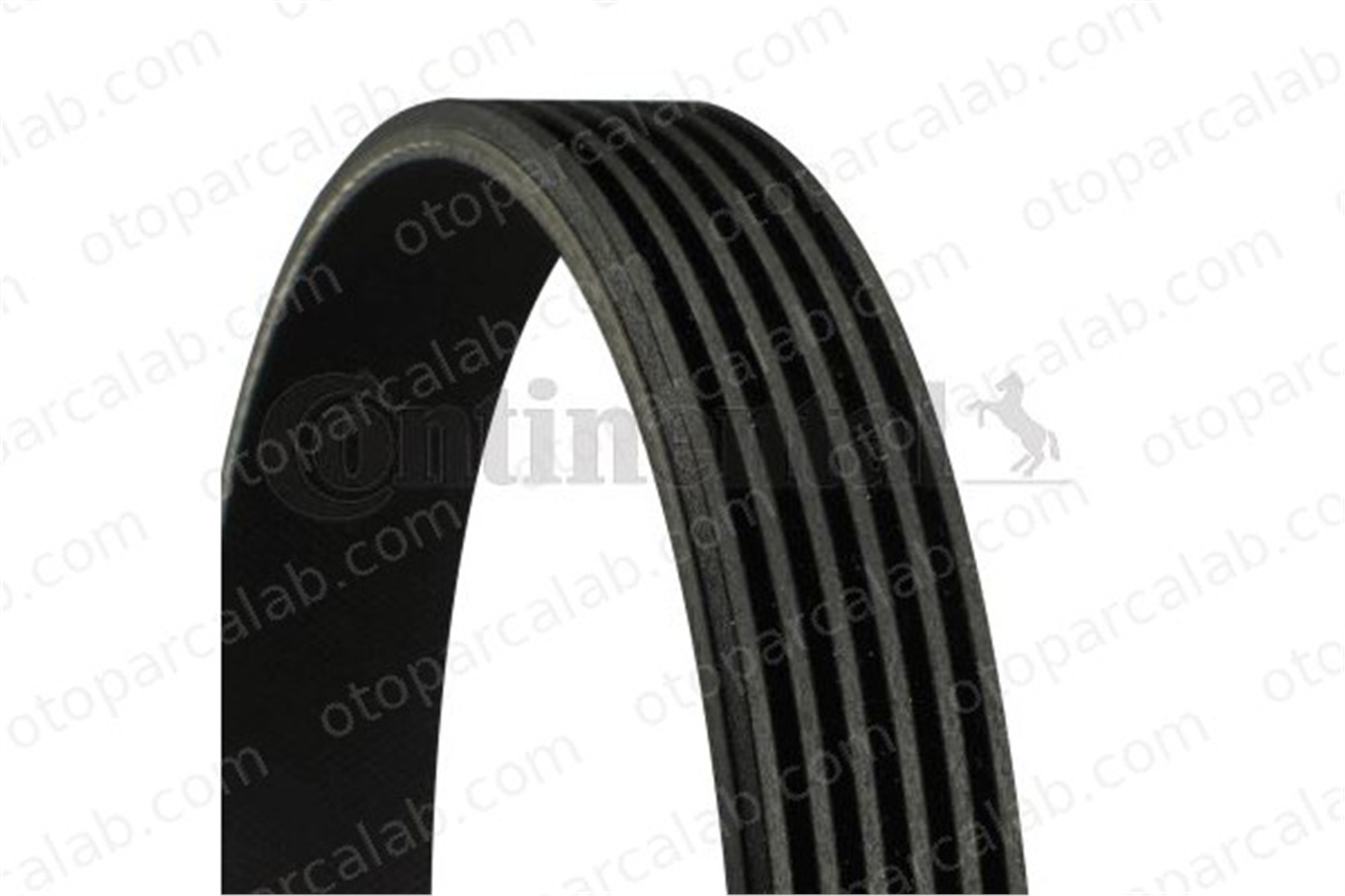 CONTINENTAL 6PK1432 Vantilatör Kayışı FORD TRANSIT Platform şasi TRANSIT Panelvan/Van 3F903137A 03F903137A