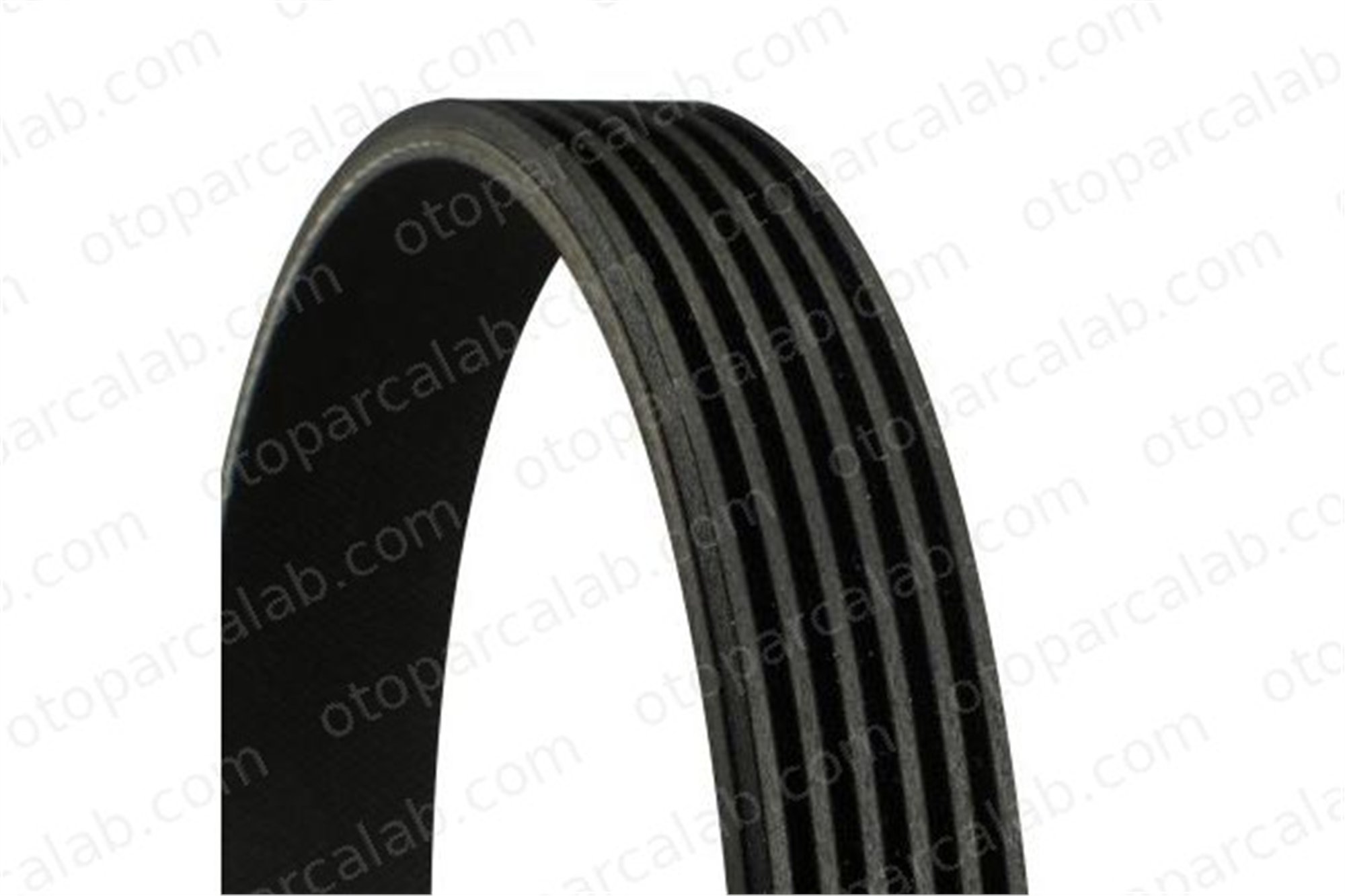 CONTINENTAL 6PK1441 EXTRA Vantilatör Kayışı AUDI A8 D5 A6 Allroad C8 6PK1441EXTRA 6M903137AA