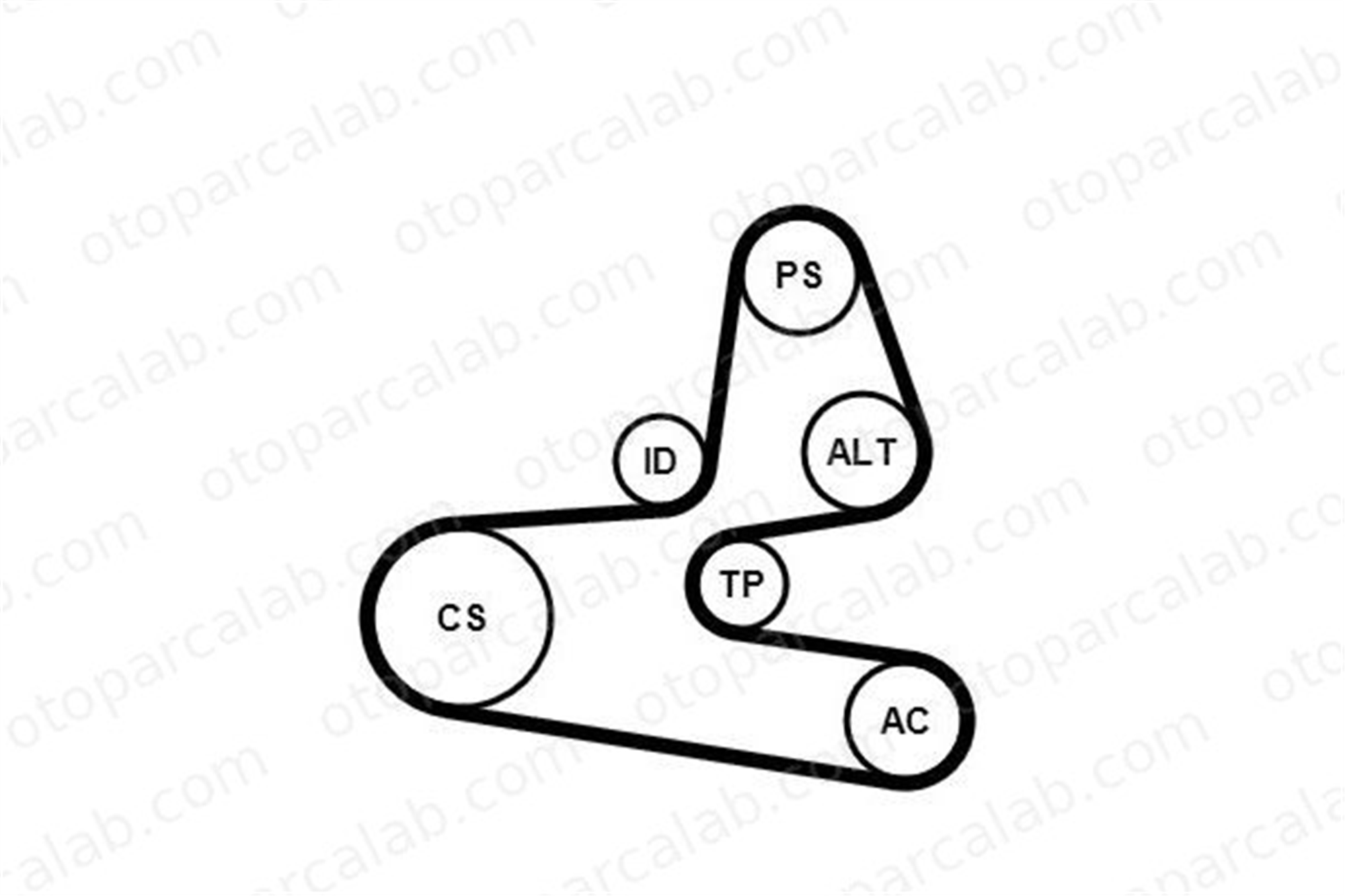 CONTINENTAL 6PK1564K1 Vantilatör Kayış Seti PEUGEOT 206 Hatchback CITROËN BERLINGO / BERLINGO FIRST MPV 1611282080 5751A2