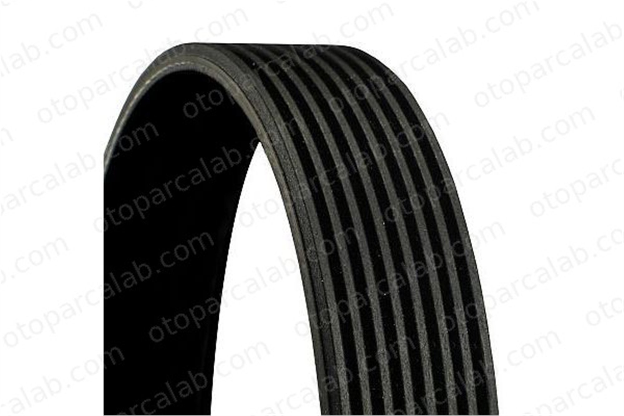CONTINENTAL 8PK1480 Vantilatör Kayışı BMW 5 Touring X5 11287628659 7589365