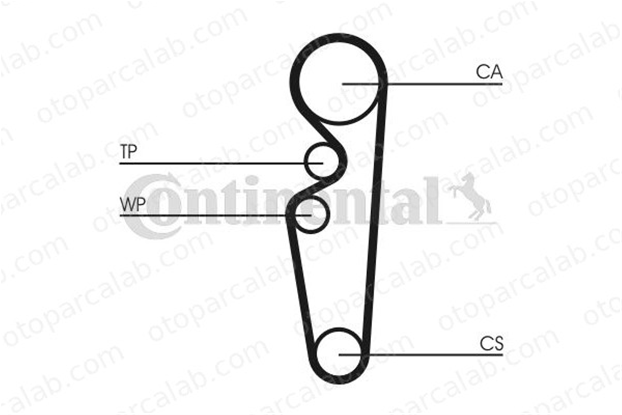CONTINENTAL CT729 Triger Kayışı FORD ESCORT V ESCORT V Turnier 91SM6268AA 4801007081