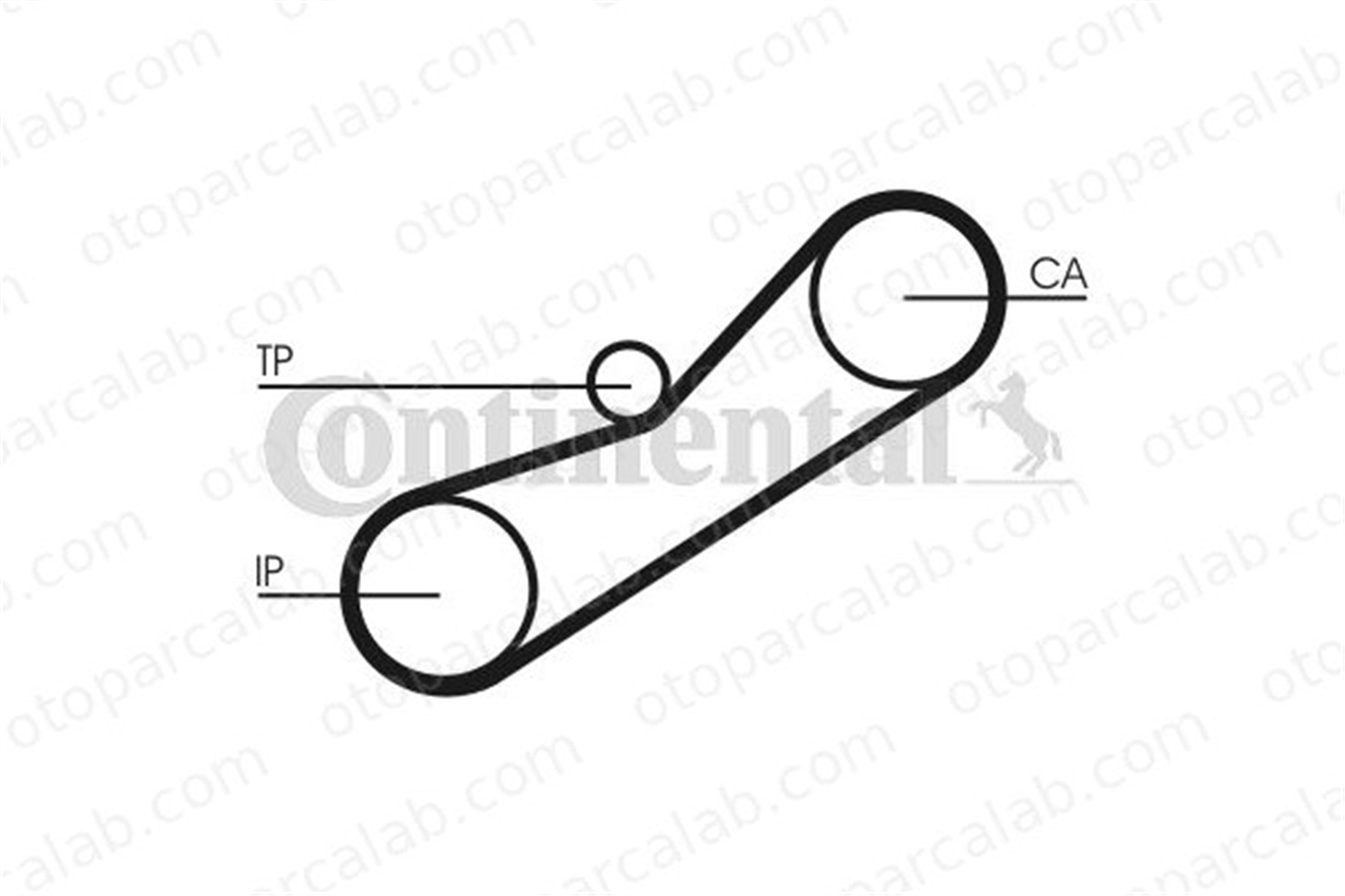CONTINENTAL CT950 Triger Kayışı HONDA CIVIC VI Fastback MG MG ZS 14320P5TG01 GTB2004