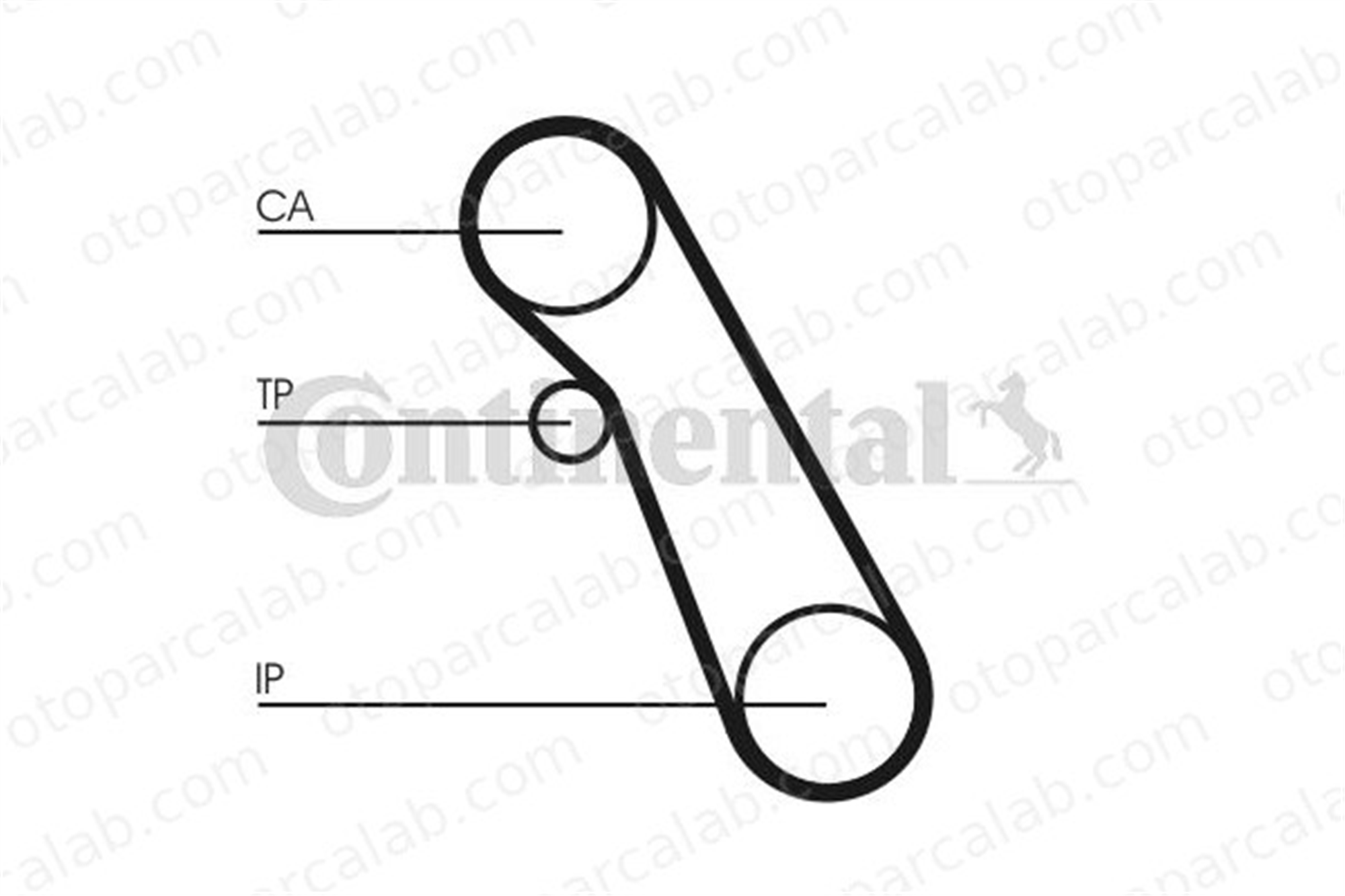 CONTINENTAL CT983WP1 Triger Kayış Seti FORD FOCUS I FOCUS I Kombi van 1078500 1079085