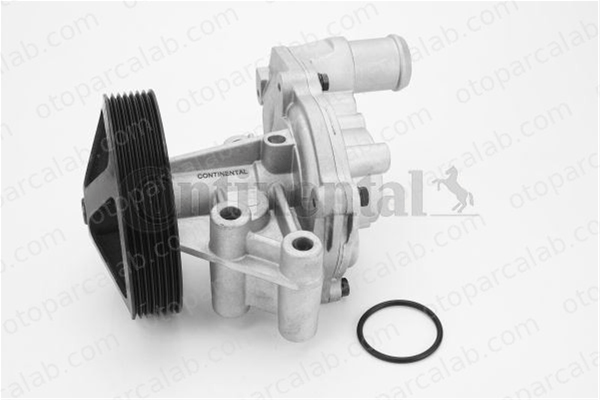 CONTINENTAL WPS3081 Devirdaim Su Pompası FORD TRANSIT V363 Panelvan/Van TRANSIT V363 Platform şasi BK3Q8A558CC LR071294