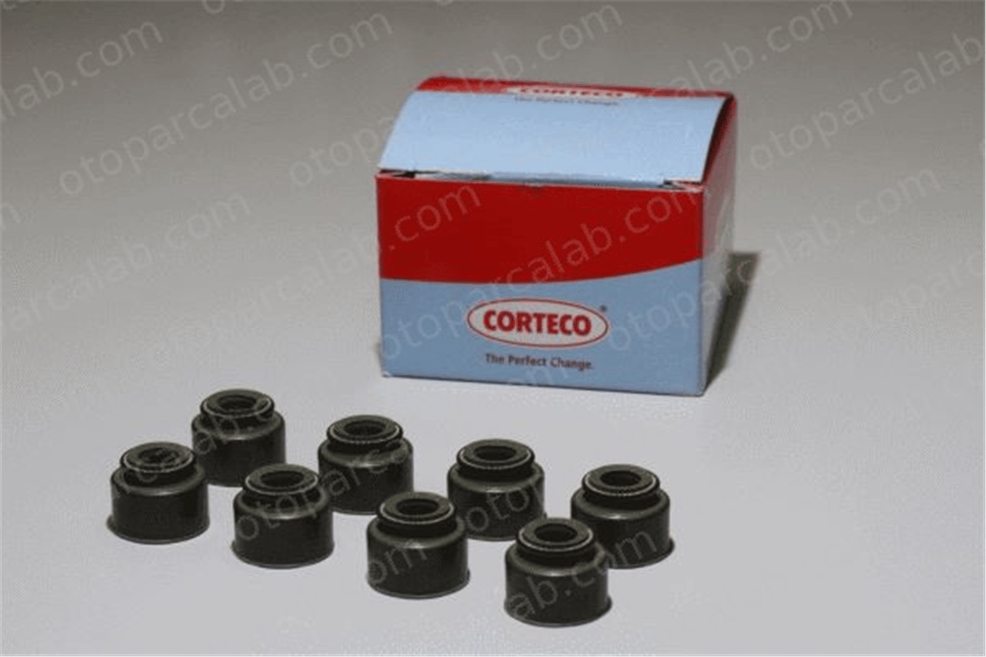CORTECO 19019858 Supap Lastiği OPEL KADETT E ASCONA C 19019858 642524