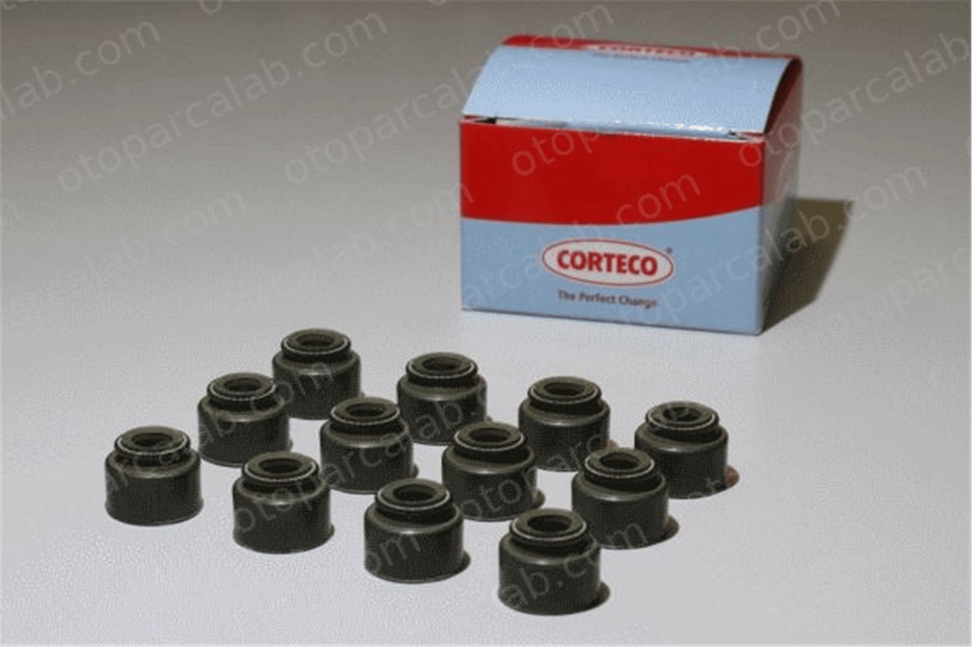 CORTECO 19034073 Supap Lastiği MERCEDES-BENZ 124 Sedan 124 T-Model A1100500167 533558
