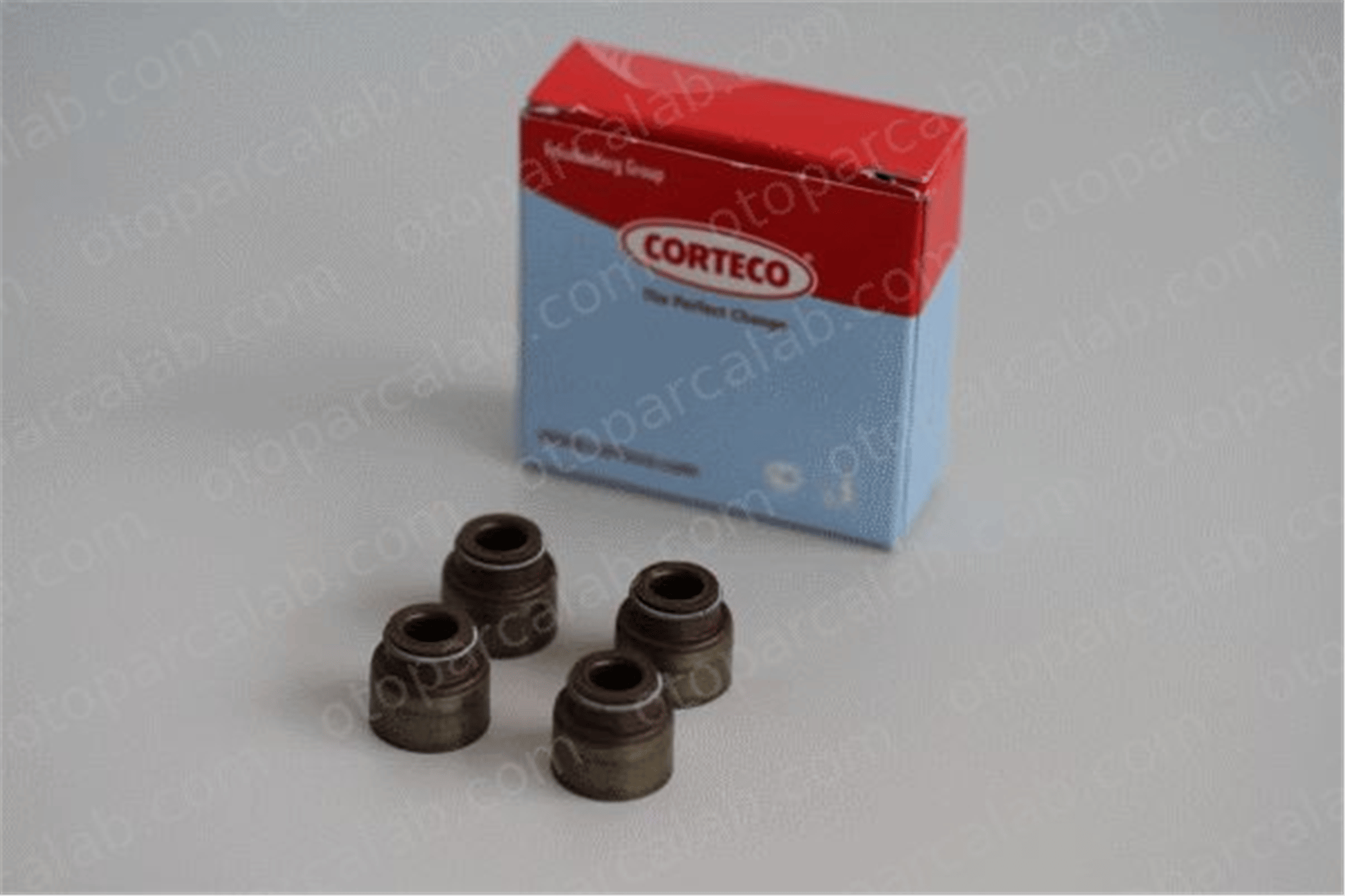 CORTECO 19036063 Supap Lastiği NISSAN BLUEBIRD BLUEBIRD Hatchback 19036063 1957263