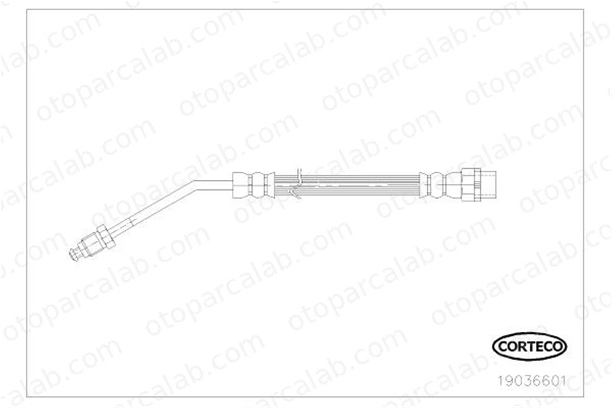 CORTECO 19036601 Fren Hortumu Arka Sağ veya Sol BMW Z4 Roadster Z4 Coupe 19036601 34306774342