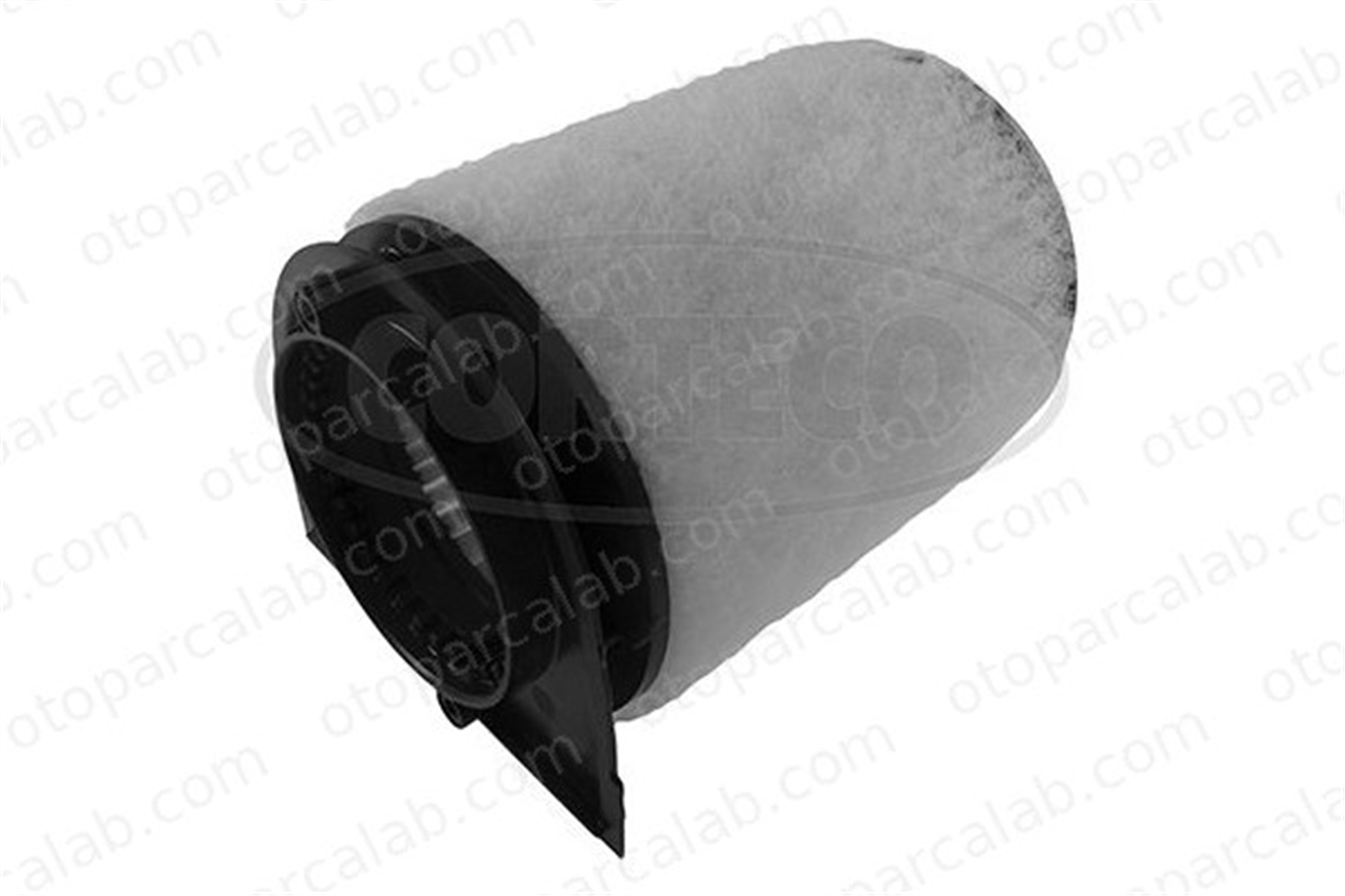 CORTECO 49359272 Hava Filtresi AUDI R8 R8 Spyder 49359272 420133843C