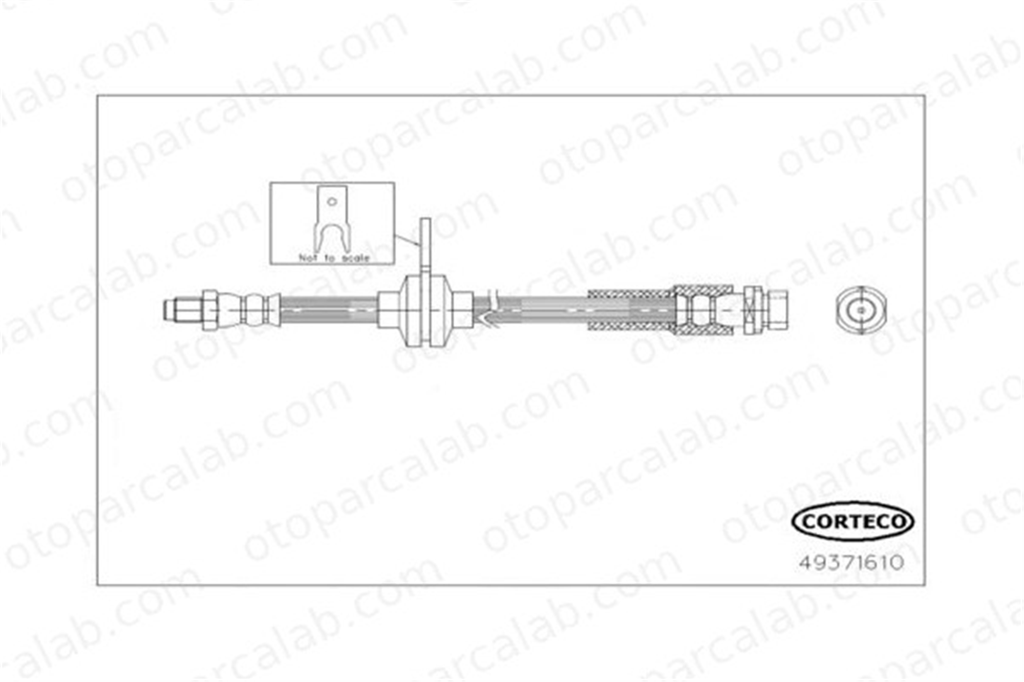 CORTECO 49371610 Fren Hortumu Arka Sağ veya Sol FORD FOCUS III C-MAX II 49371610 1681131