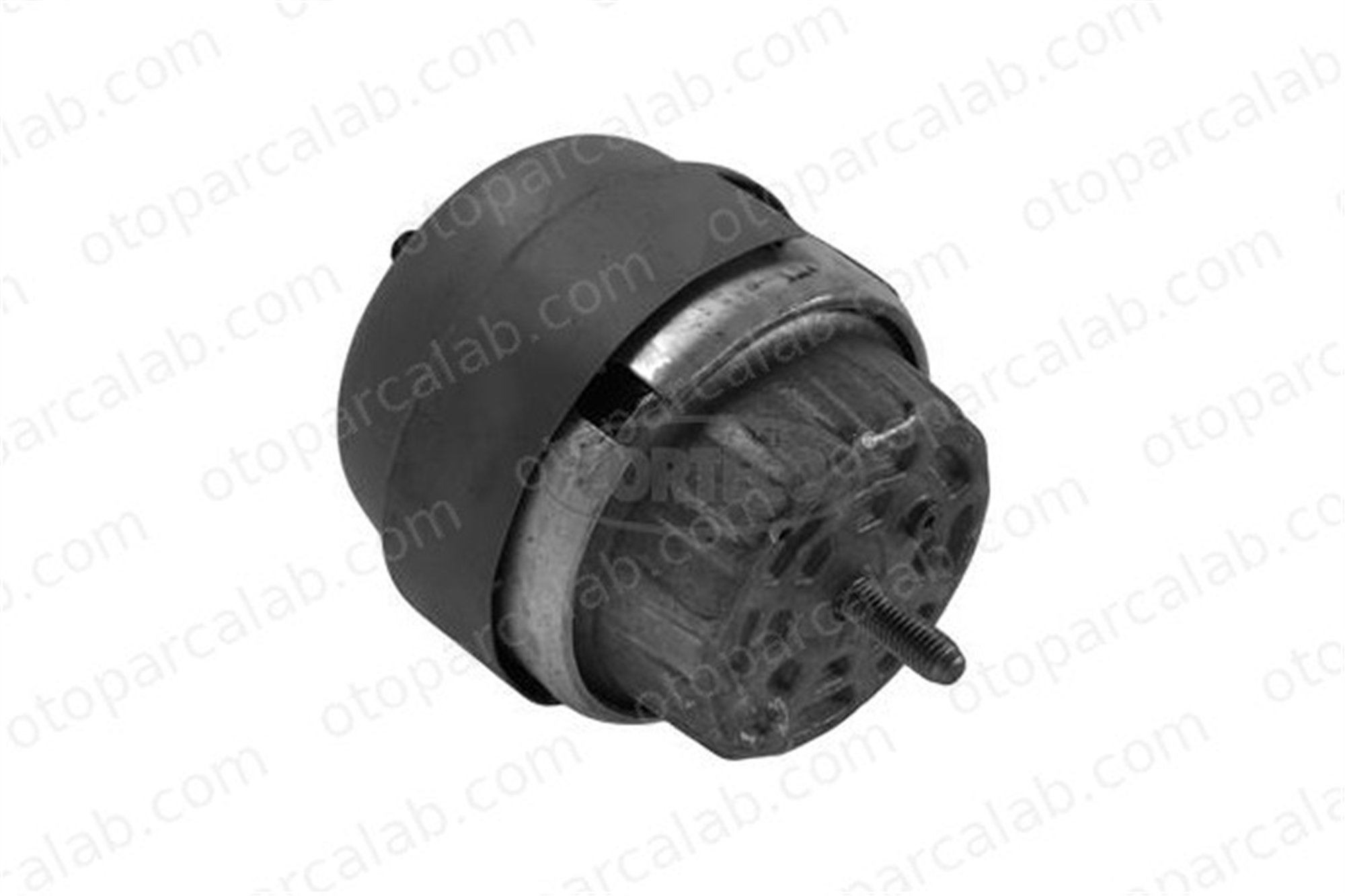 CORTECO 80004289 Motor Takozu Sol AUDI A6 C6 Avant A6 C6 4F0199379AP 4F0199379BF