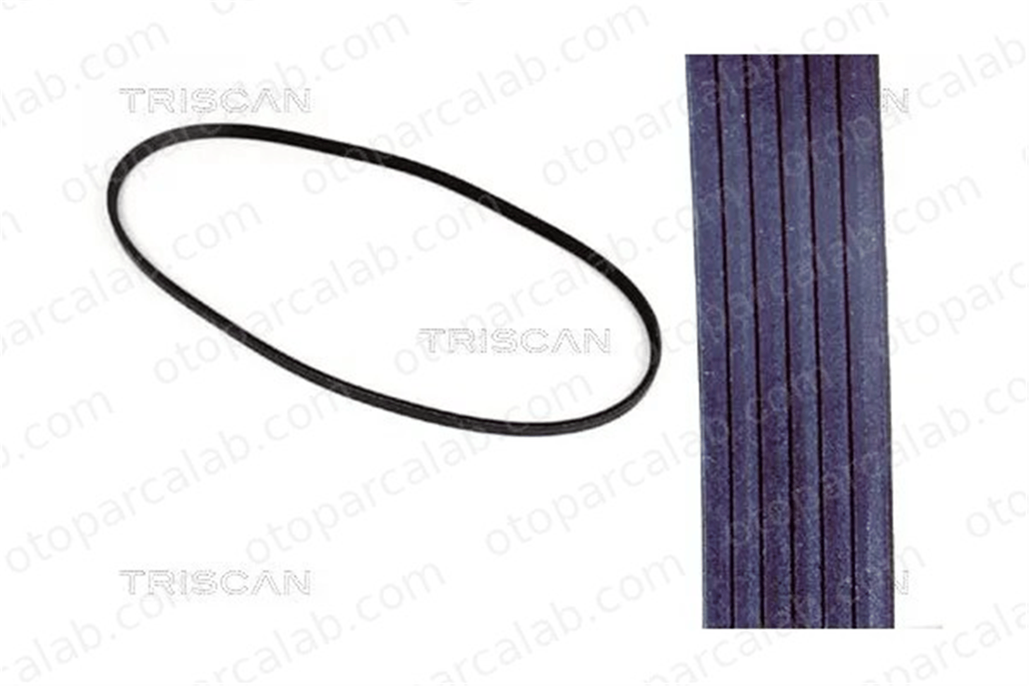 DAYCO 13A0975C Vantilatör Kayışı VOLVO 740 740 Kombi 6M3419D621BA 11721315181