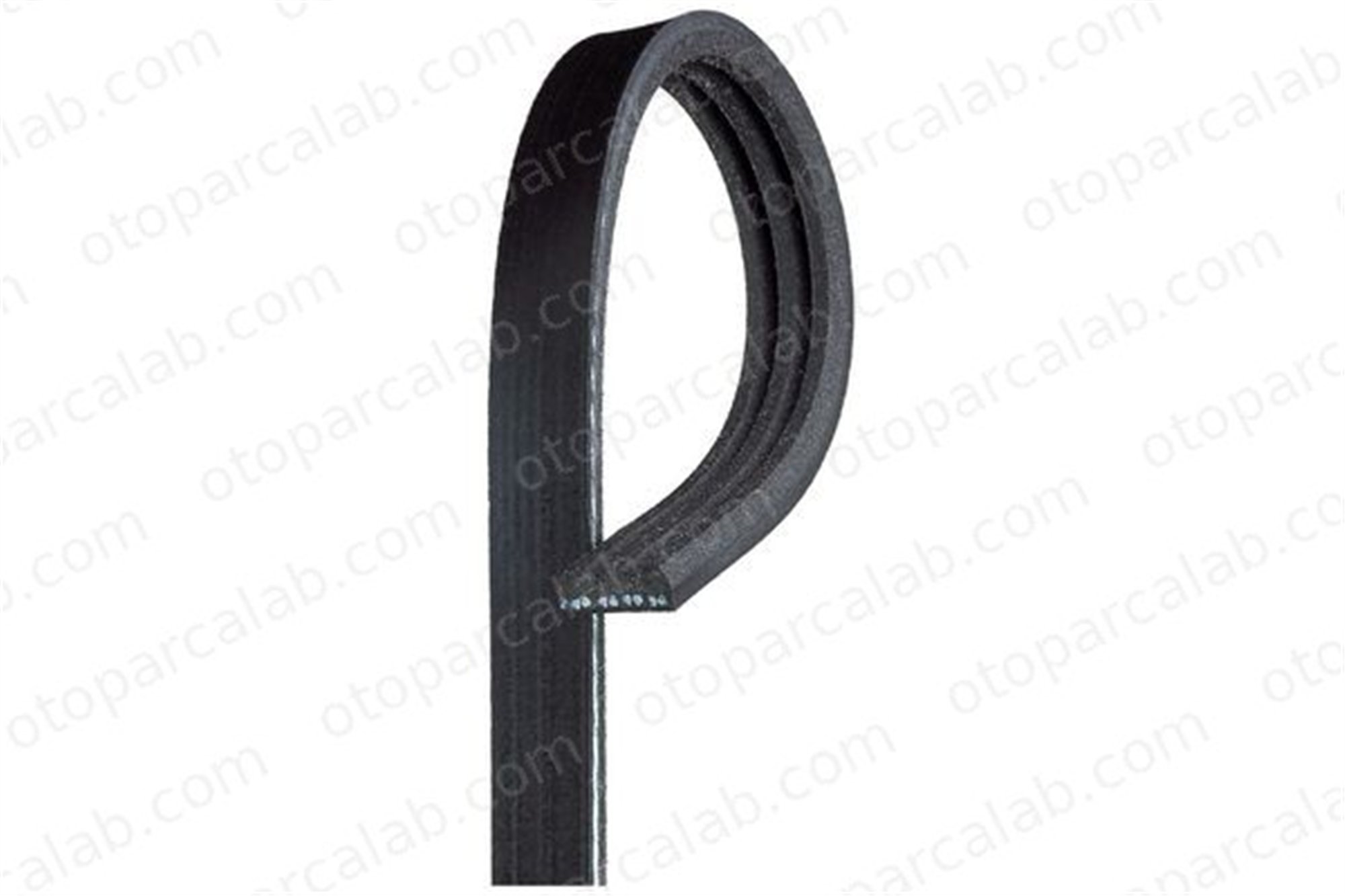 DAYCO 3PK1082 Vantilatör Kayışı HONDA LEGEND I ROVER 800 Hatchback 31110PH7003 31110PH7004