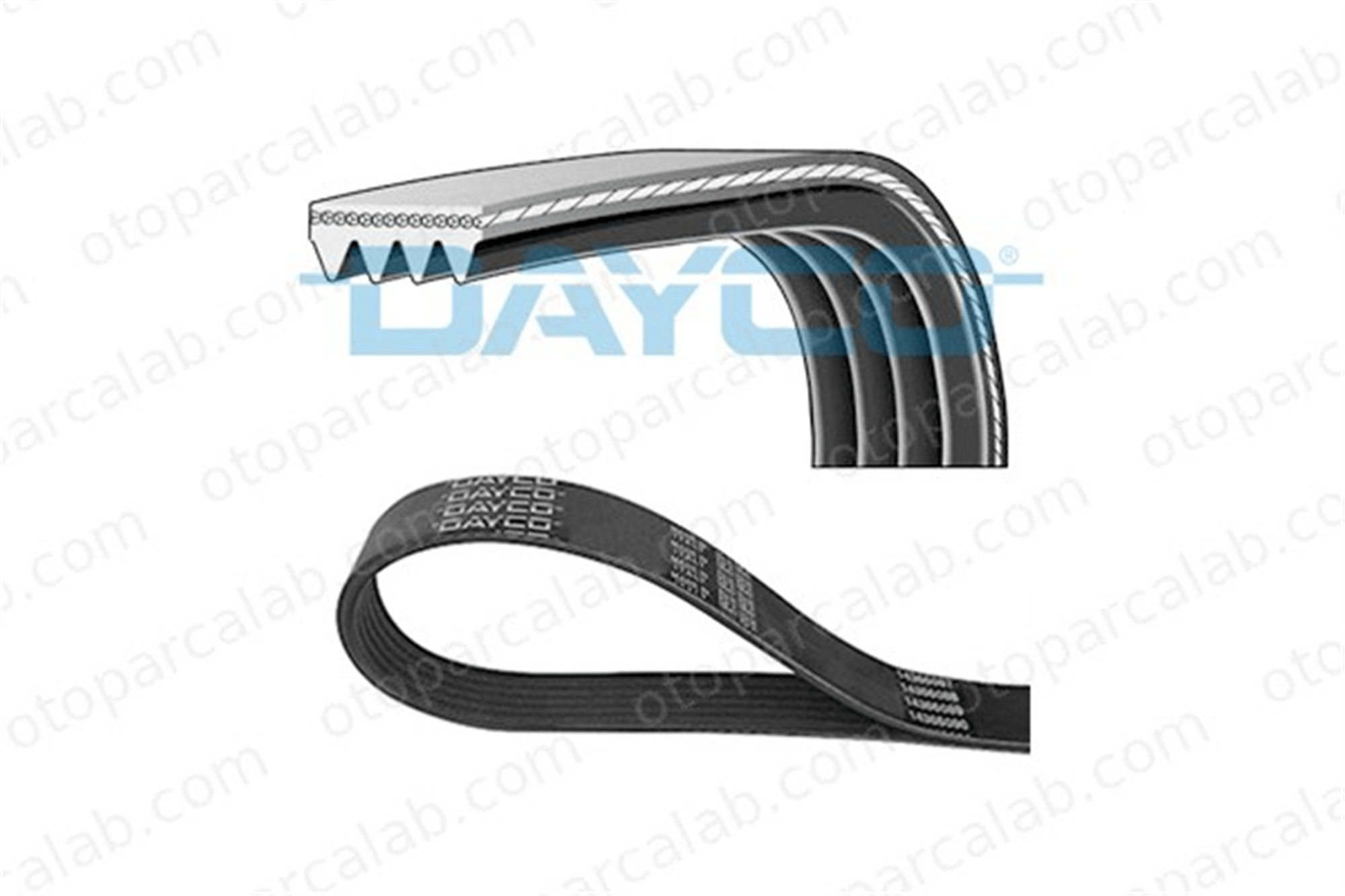 DAYCO 4PK795 Vantilatör Kayışı HONDA CIVIC VI Fastback CIVIC V Coupe 38920 91541177