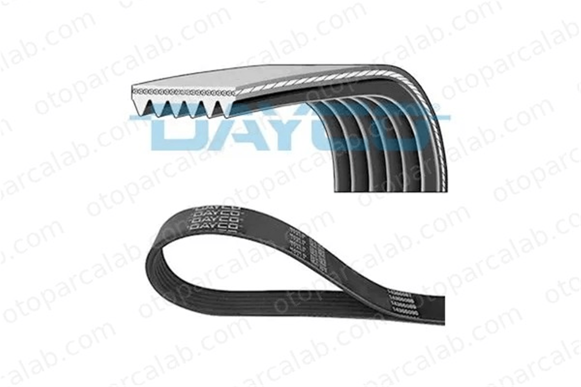 DAYCO 6PK923 Vantilatör Kayışı SEAT TOLEDO I CORDOBA VX028903137AMVX 46412707