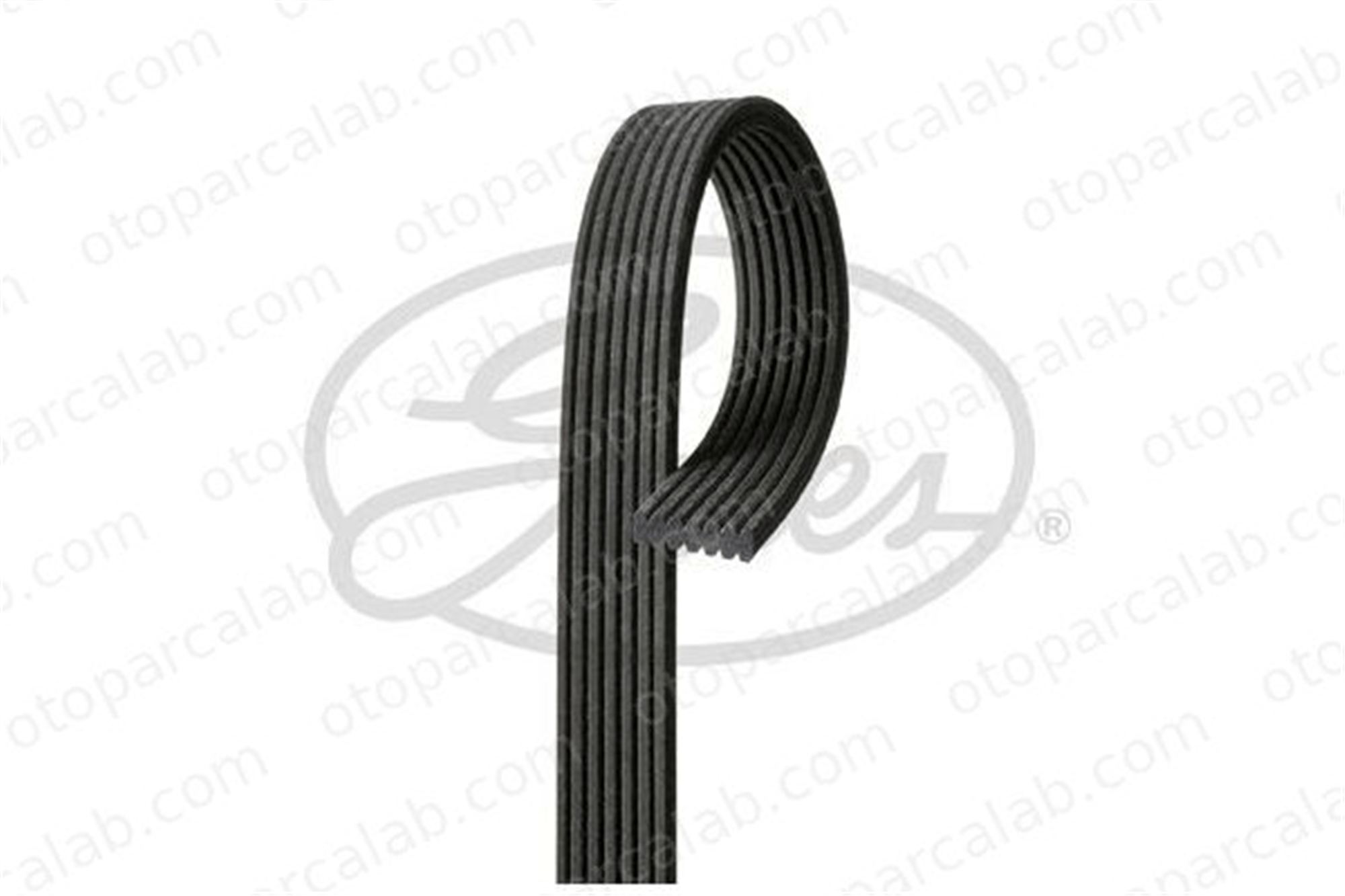 DAYCO 7DPK1558 Vantilatör Kayışı VW PHAETON 22145933R 022145933R