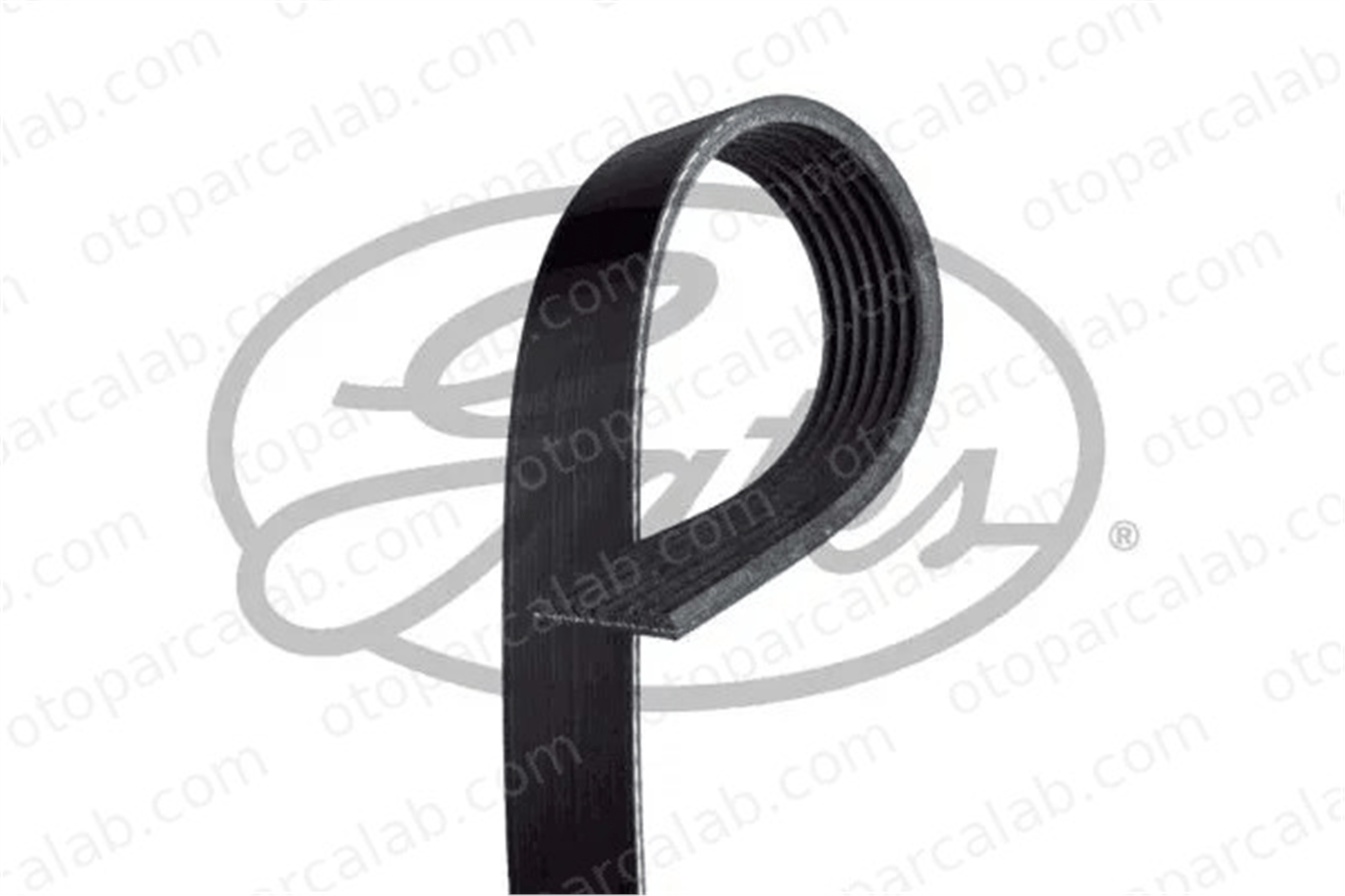 DAYCO 7PK1710 Vantilatör Kayışı RENAULT KOLEOS I LAGUNA III 252124A650 11720JD700